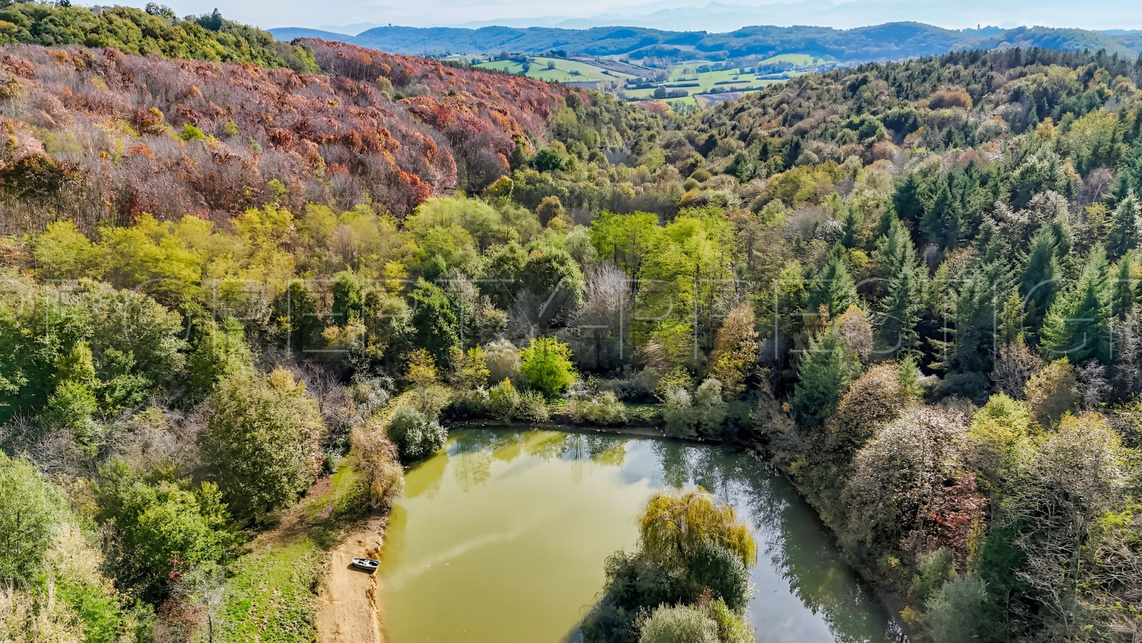 
                                                Vente
                                                 ARIEGE PROPRIETE FORESTIERE 52 HA