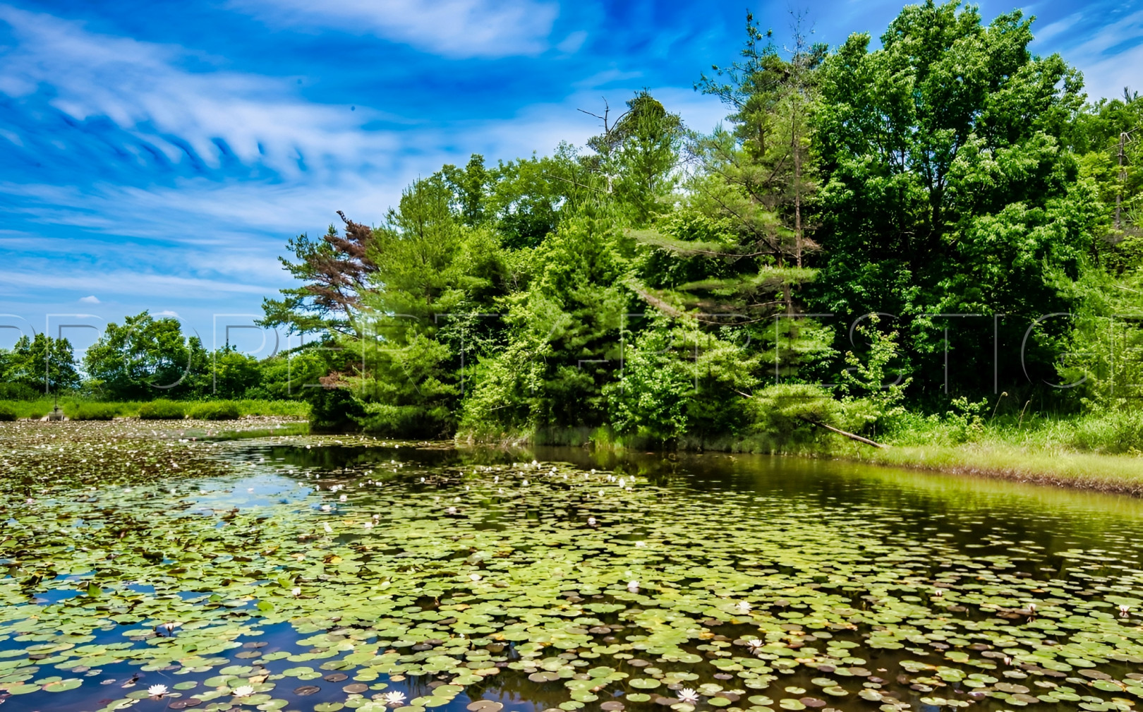 
                                                Vente
                                                 AUDE PROPRIETE 165 HA ETANG GITES