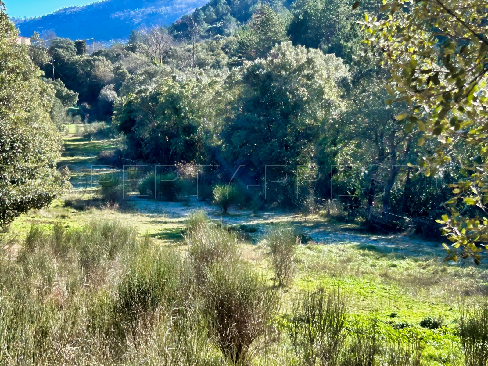 
                                                Vente
                                                 AUDE PROPRIETE ECOLOGIQUE GITES 180 HA