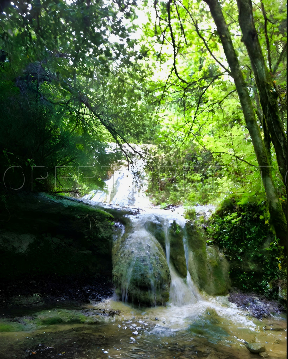 
                                                Vente
                                                 AUDE PROPRIETE ECOLOGIQUE GITES 180 HA