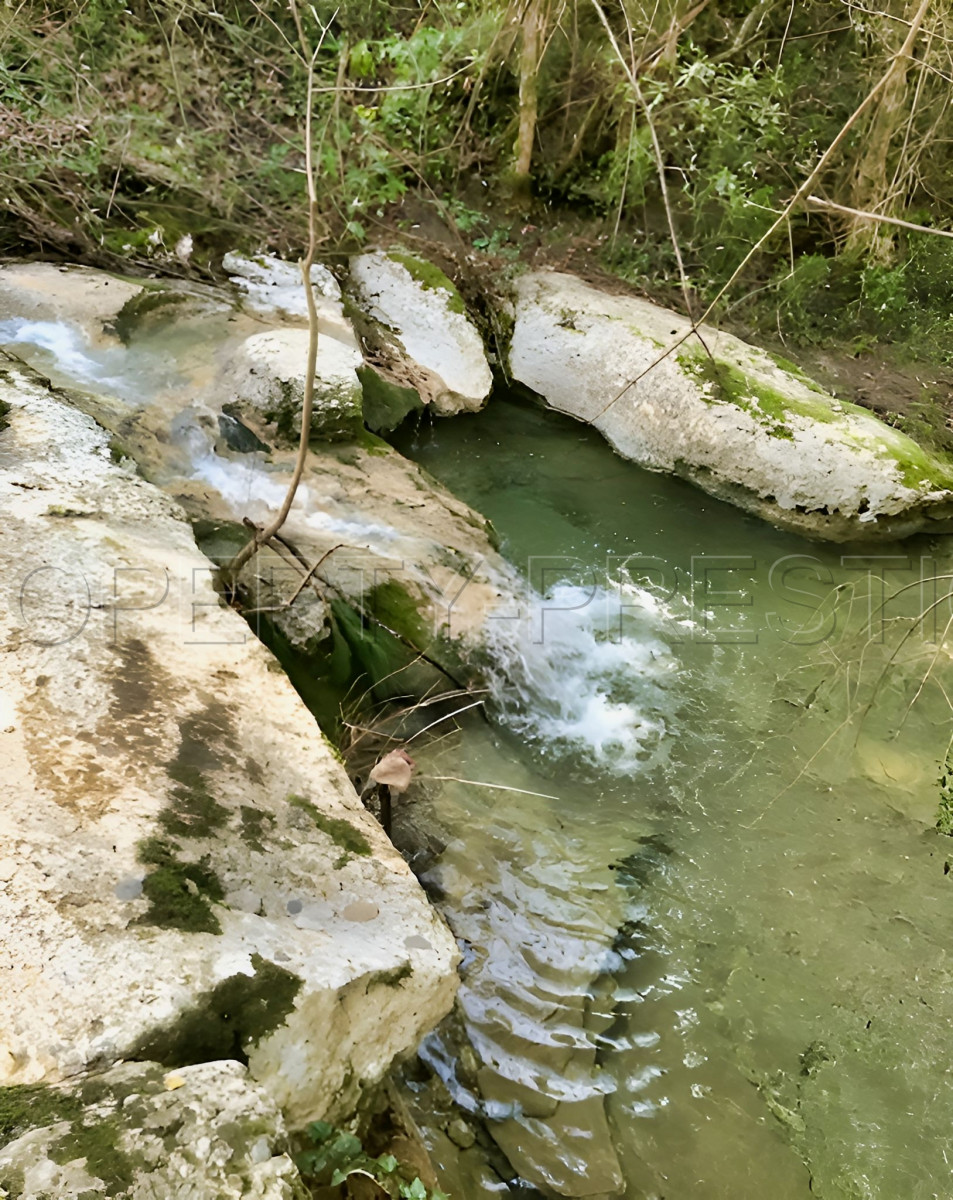 
                                                Vente
                                                 AUDE PROPRIETE ECOLOGIQUE GITES 180 HA