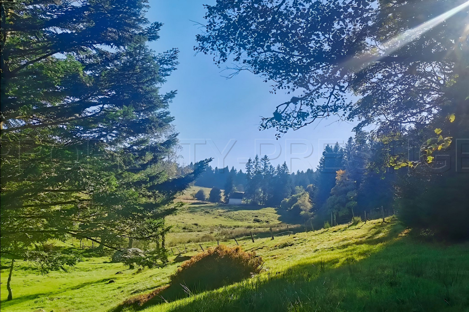 
                                                Vente
                                                 AUVERGNE MOULIN GITES CHAMBRES D’HÔTES RIVIERE 1.5 HA