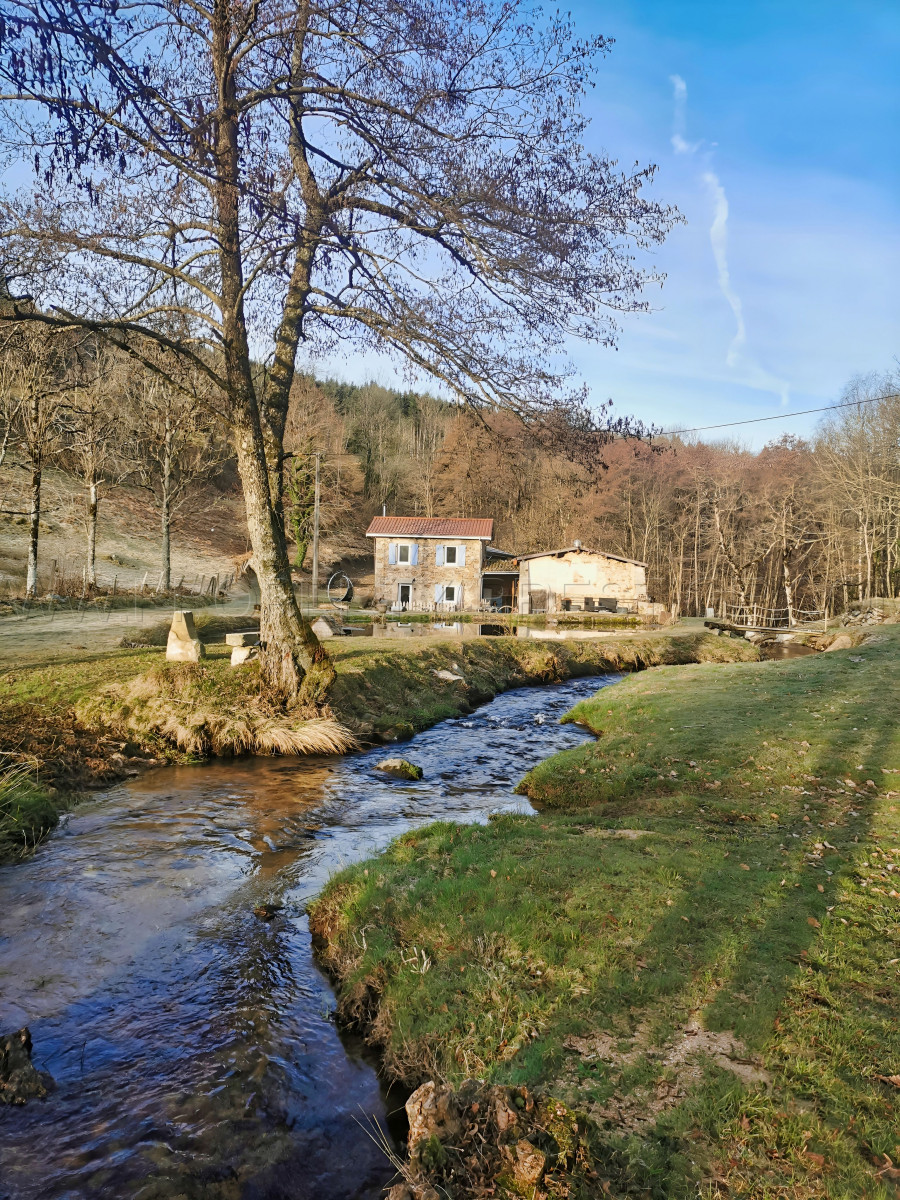 
                                                Vente
                                                 AUVERGNE MOULIN GITES CHAMBRES D’HÔTES RIVIERE 1.5 HA