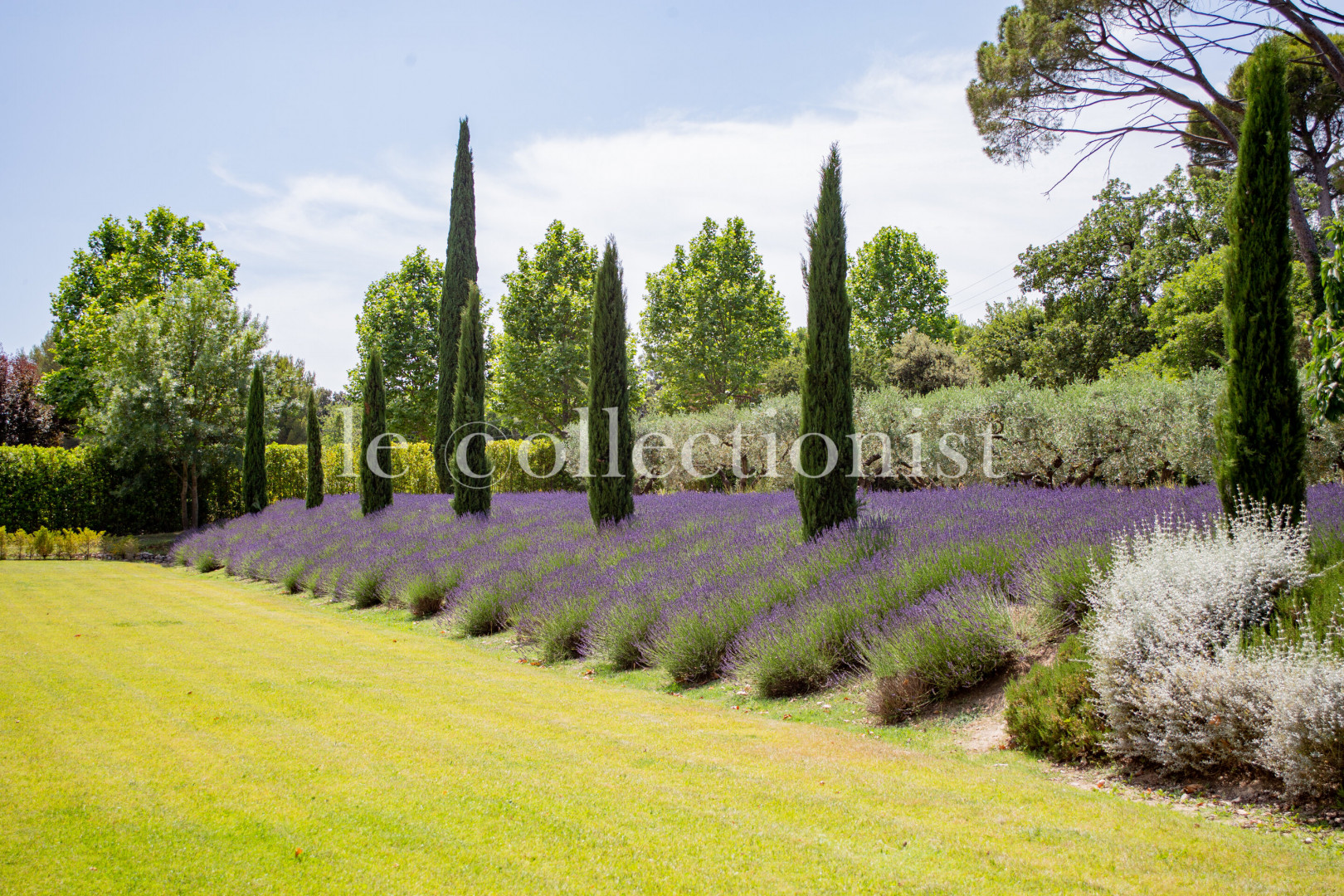 
                                                Location de vacances
                                                 Bastide des Sens