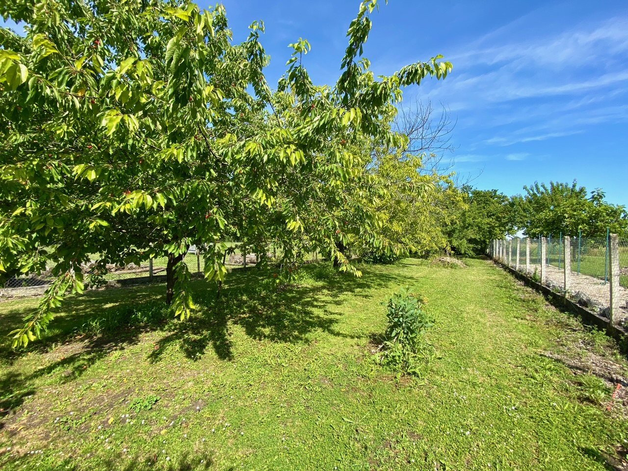 
                                                Vente
                                                 Belle maison ancienne, caractère, bon état d'entretien, superbes cheminées, 6 chambres, piscine, potentiel, piscine,grange et garage, terrain facile d'entretien, proche commodités.