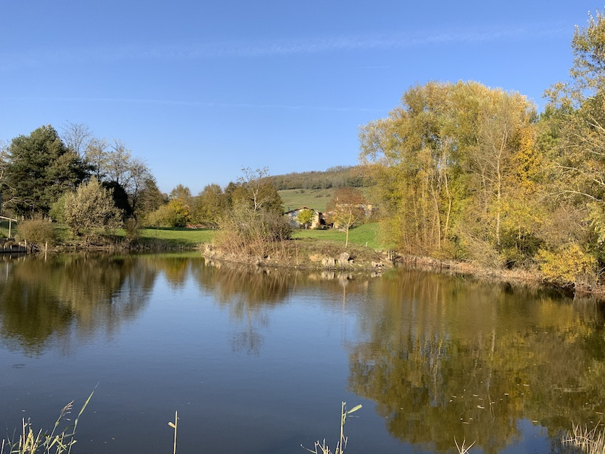 
                                                Vente
                                                 Belle maison avec gîte sur 4 hectares de terrain 