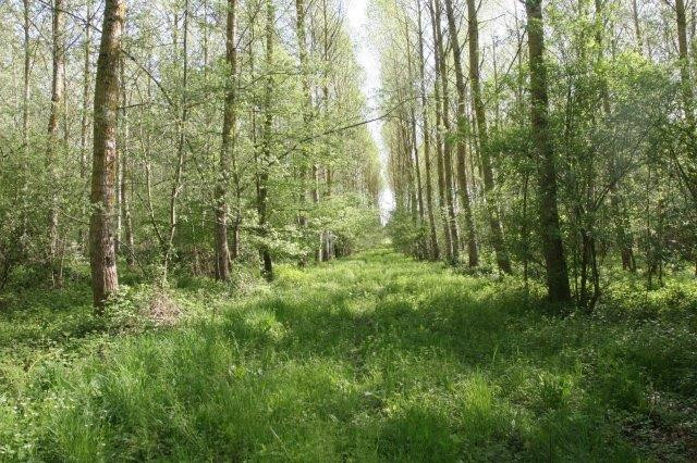 
                                                Vente
                                                 BOIS TAILLES TERRES AGRICOLES