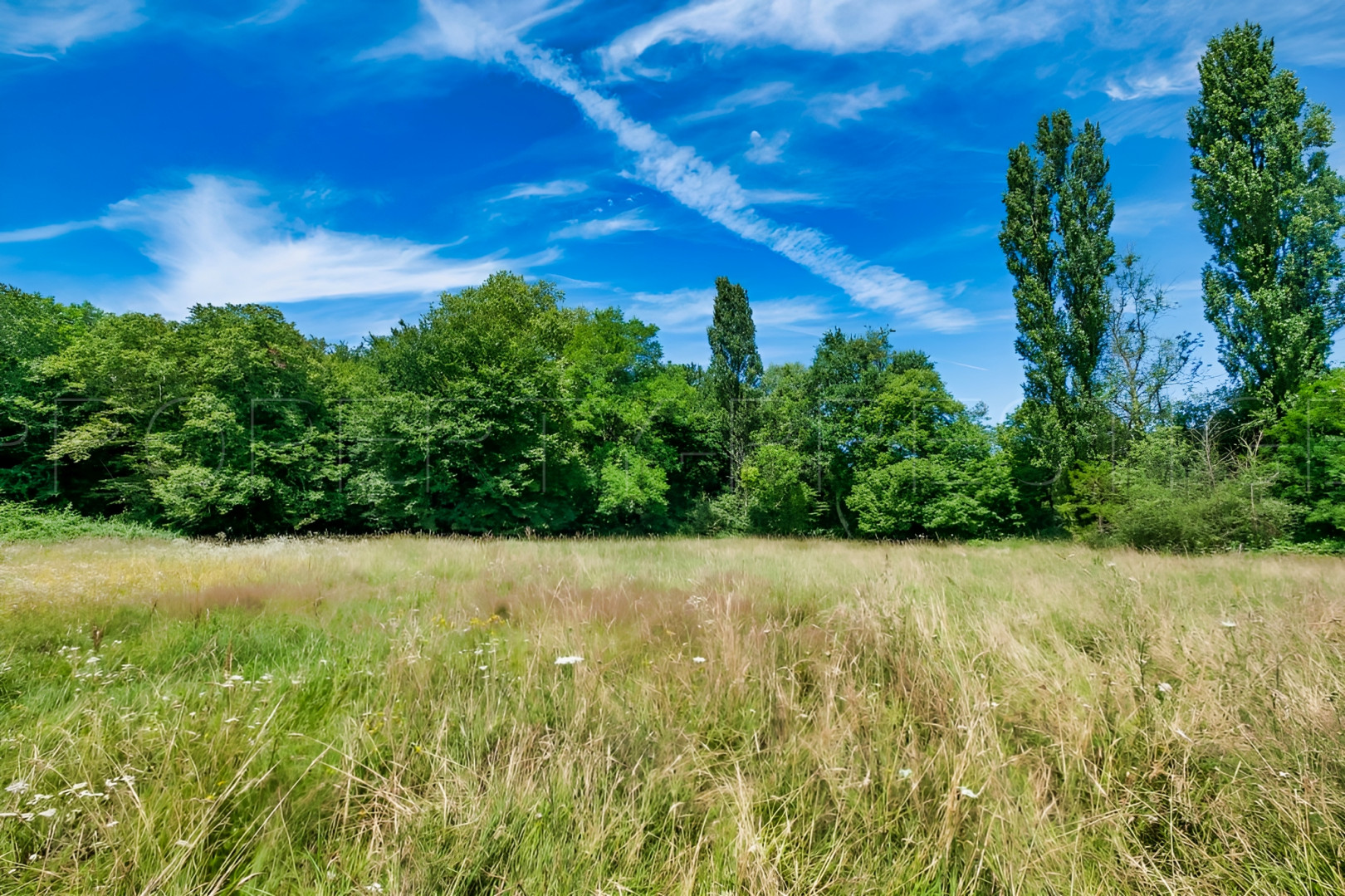 
                                                Vente
                                                 BORDEAUX PROPRIETE 1300 M² EVENEMENTIEL 6,4 HA