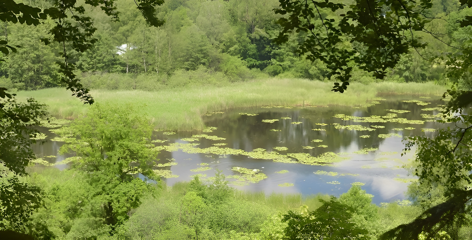 
                                                Vente
                                                 BRETAGNE PROPRIETE AVEC SON MOULIN 20 HA ETANG