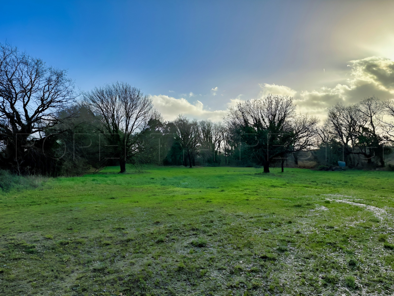 
                                                Vente
                                                 BRETAGNE SUD MAISON OSSATURE BOIS 5 HA