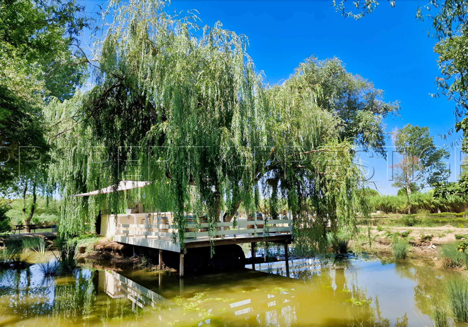 
                                                Vente
                                                 CAMARGUE ETANG DE PECHE 3,4 HA