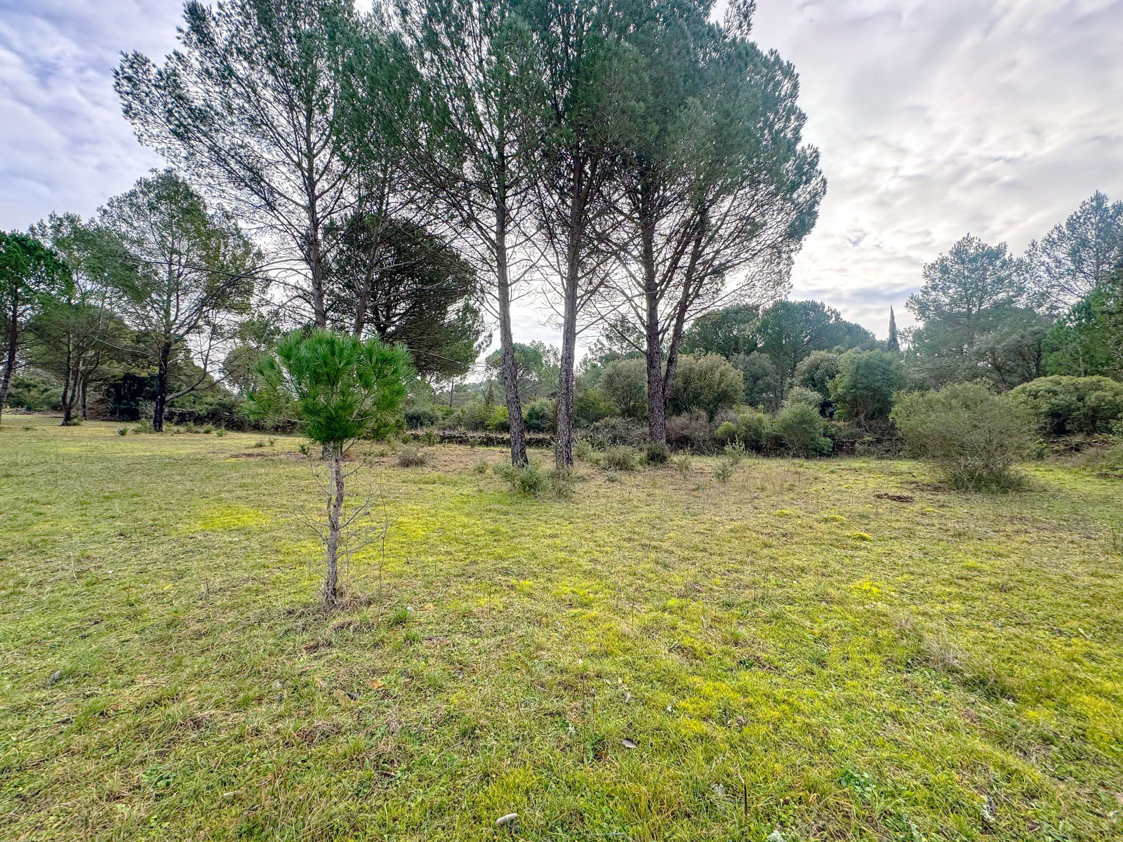 
                                                Vente
                                                 Carcès, terrain agricole