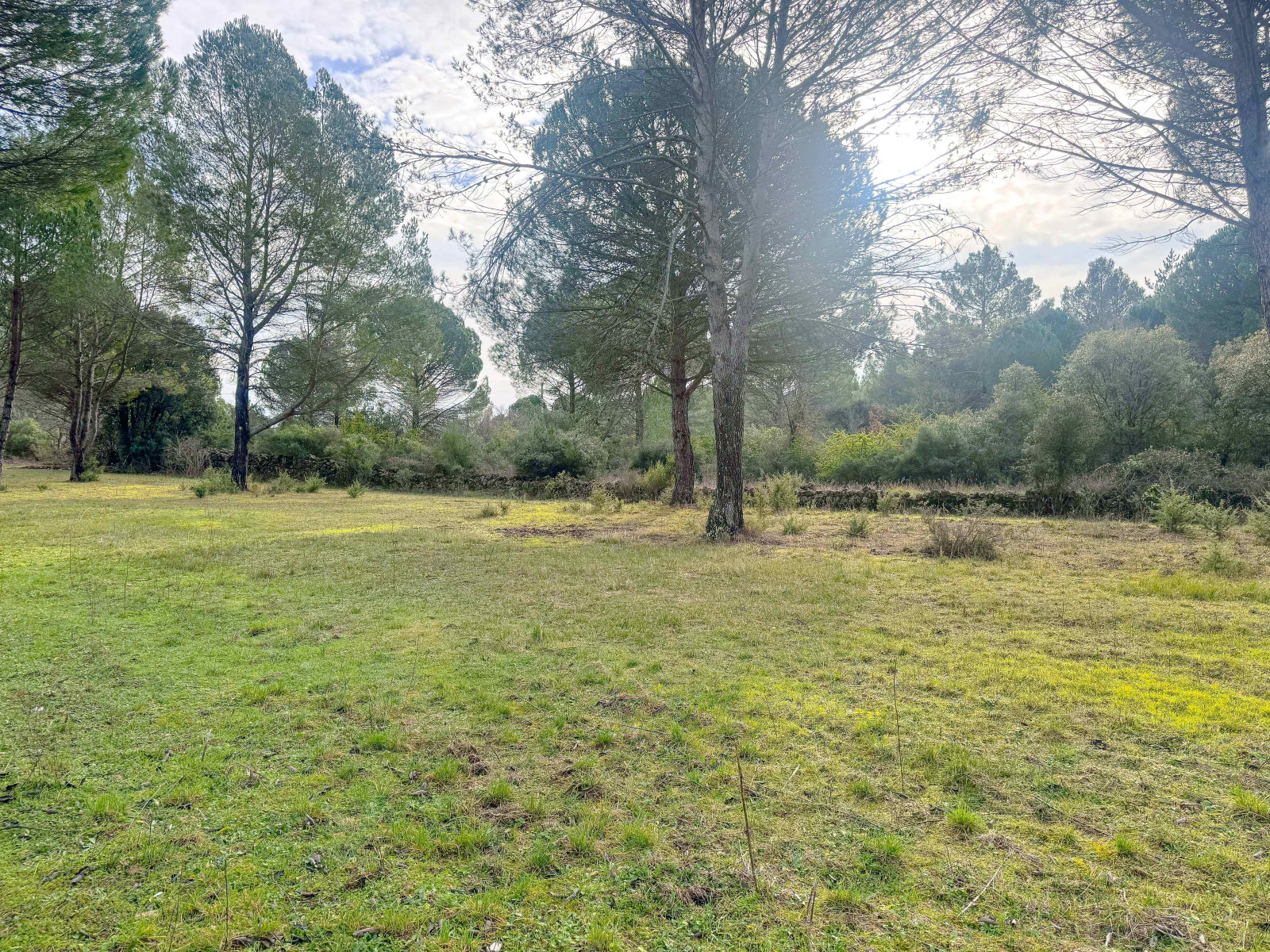 
                                                Vente
                                                 Carcès, terrain agricole