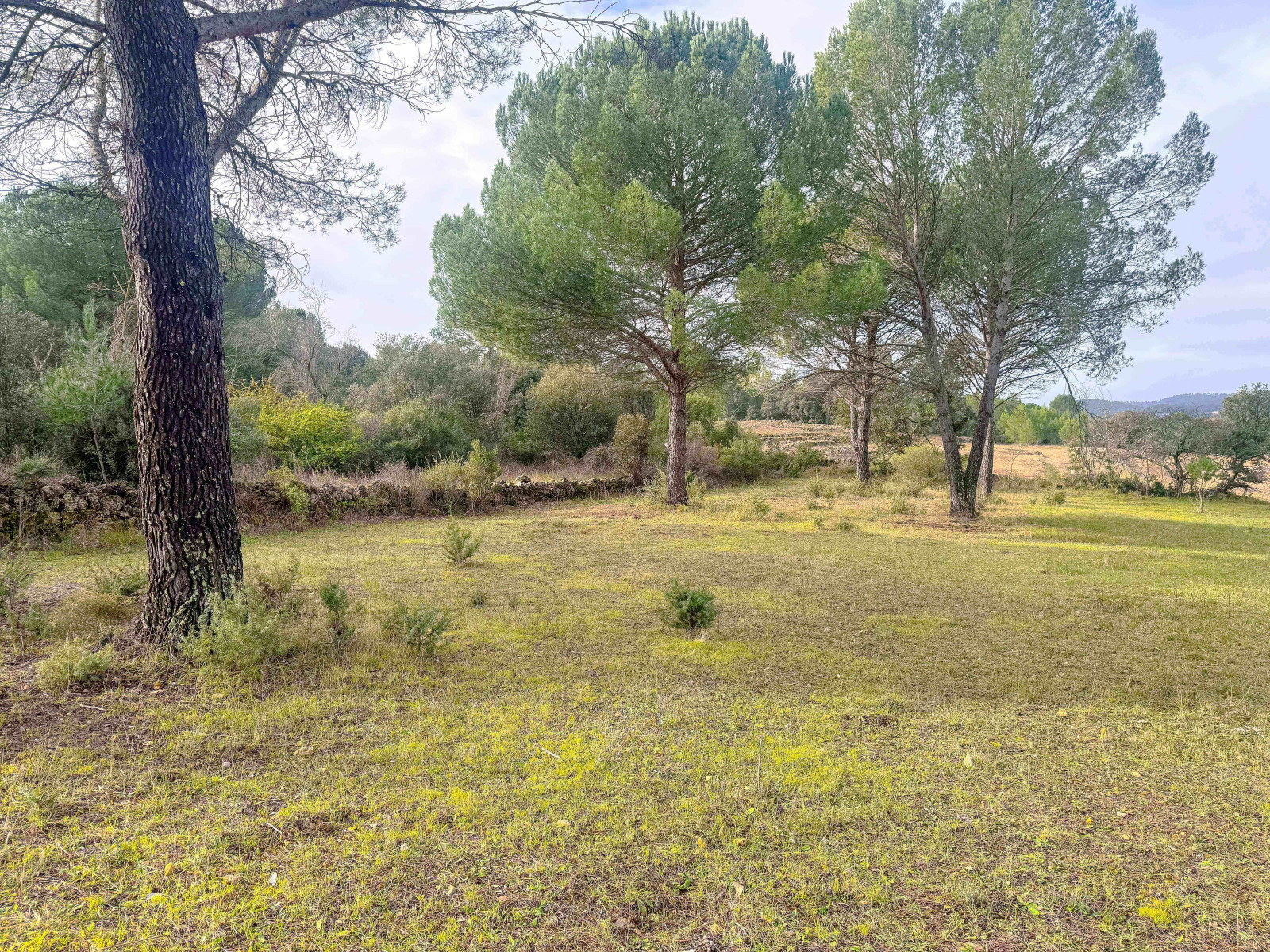 
                                                Vente
                                                 Carcès, terrain agricole