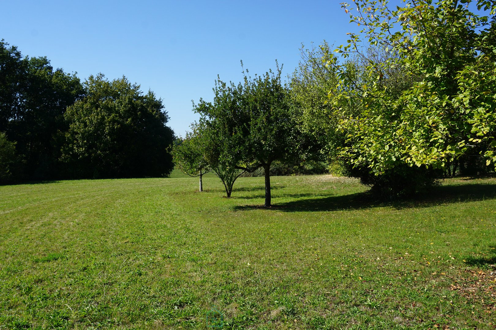 
                                                Vente
                                                 Charmant ensemble immobilier en pierre du XVIIIe siècle niché dans le parc naturel du Périgord vert. 