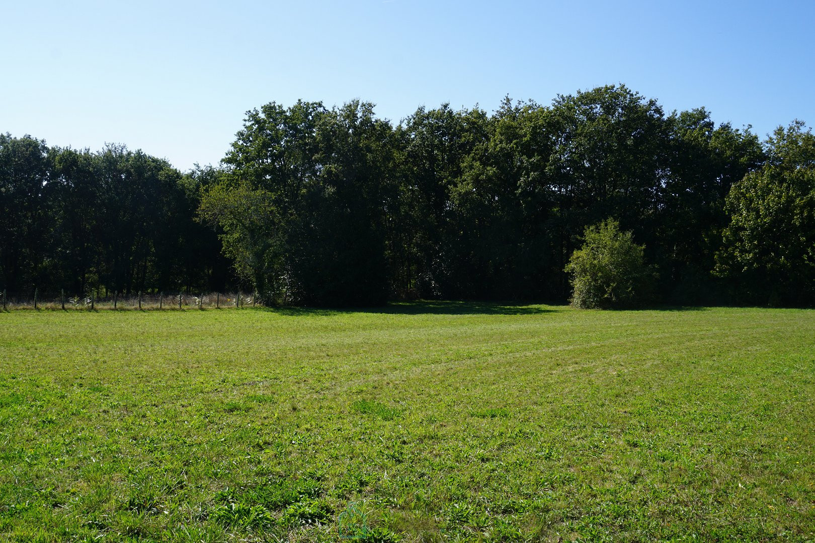 
                                                Vente
                                                 Charmant ensemble immobilier en pierre du XVIIIe siècle niché dans le parc naturel du Périgord vert. 