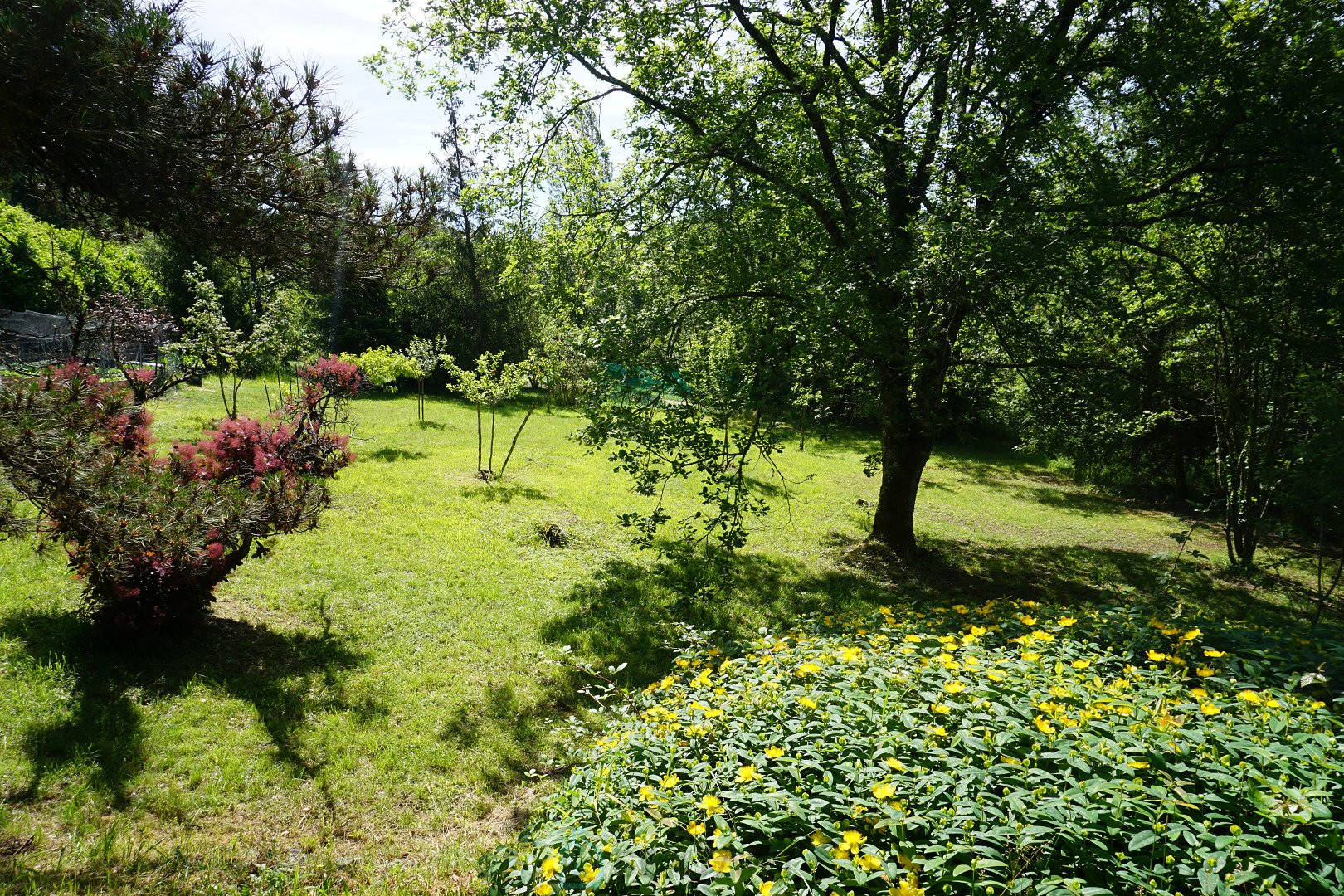 
                                                Vente
                                                 Charmante demeure Périgourdine nichée sur les hauteurs d'un village médieval. 