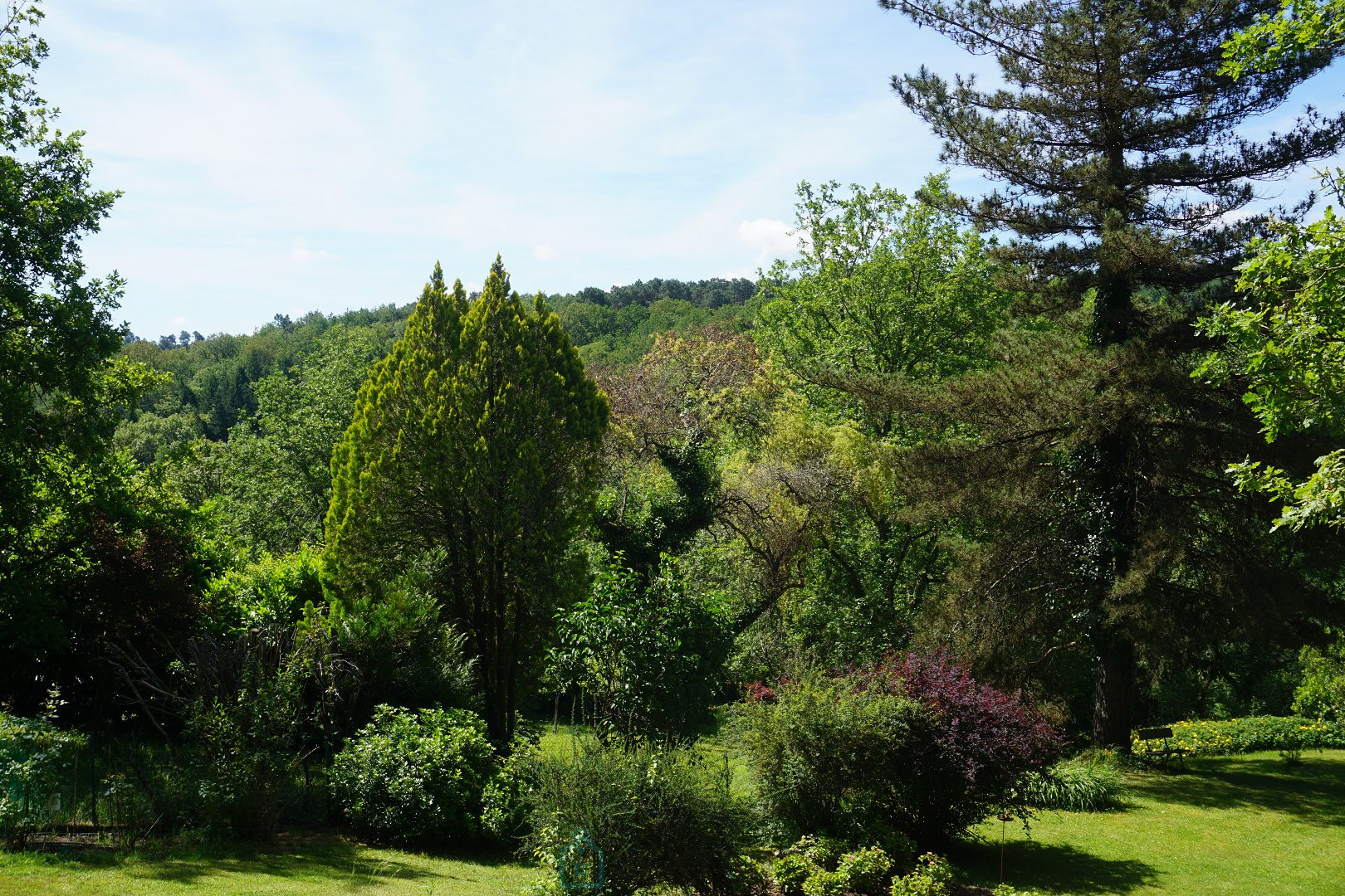 
                                                Vente
                                                 Charmante demeure Périgourdine nichée sur les hauteurs d'un village médieval. 