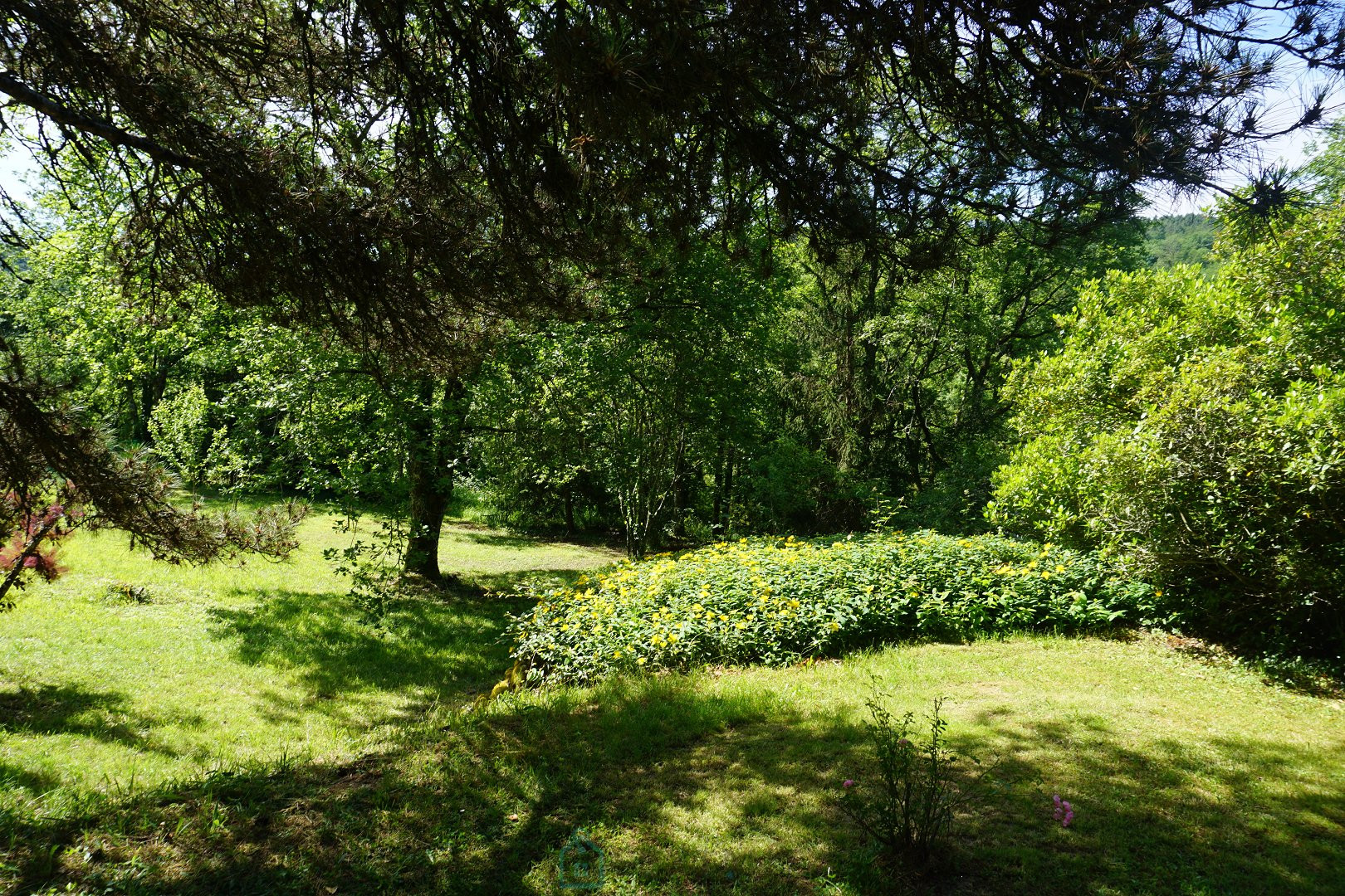 
                                                Vente
                                                 Charmante demeure Périgourdine nichée sur les hauteurs d'un village médieval. 