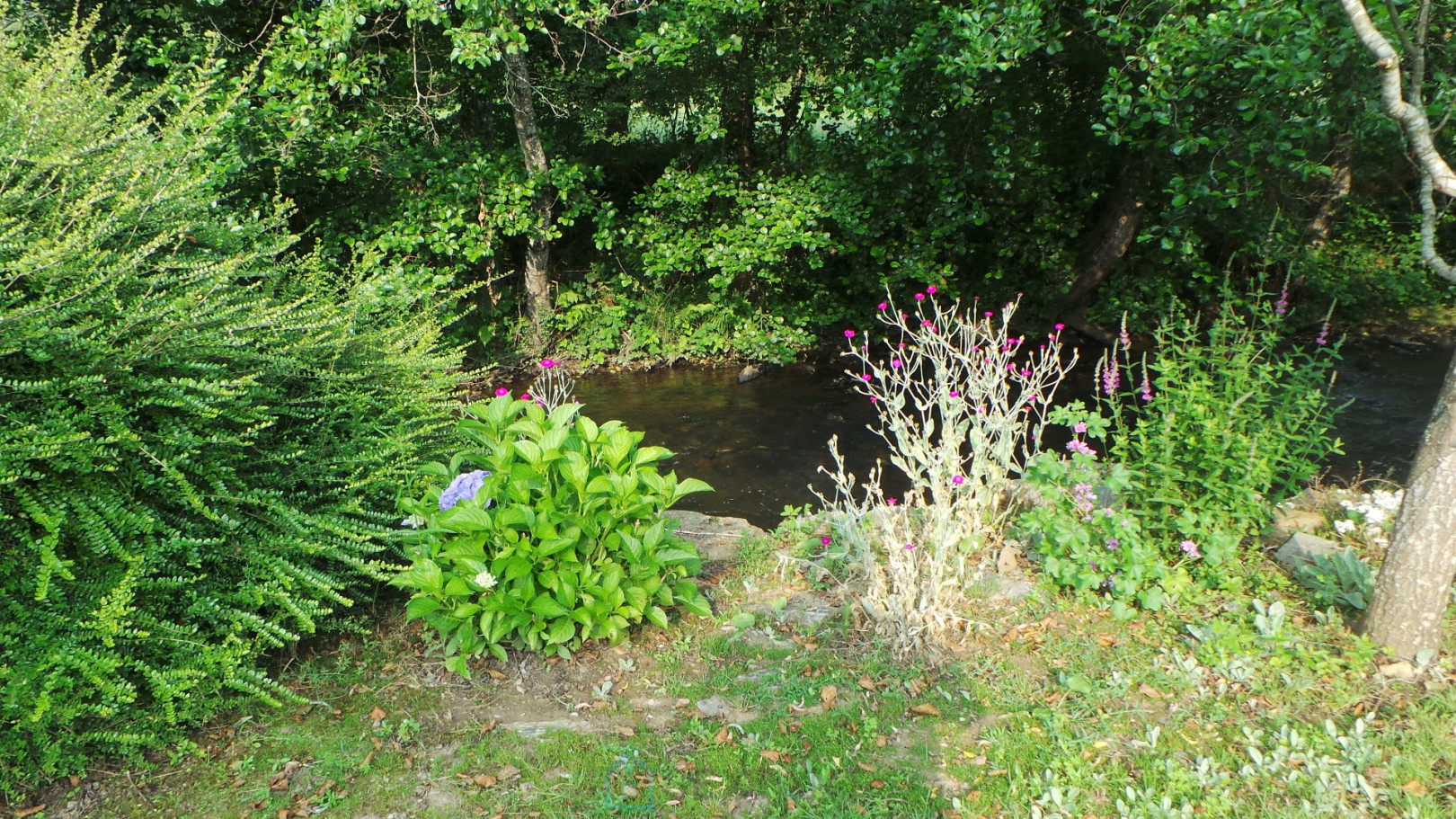 
                                                Vente
                                                 Charmante maison en pierre agrémentée d'un étang et bordée par une rivière. 