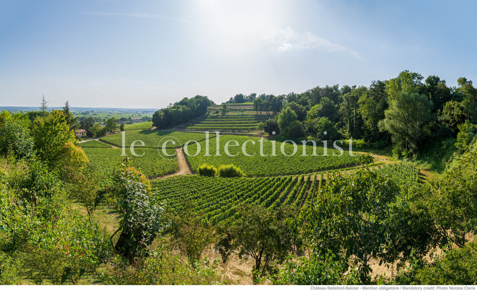 
                                                Location de vacances
                                                 Château Hippolyte