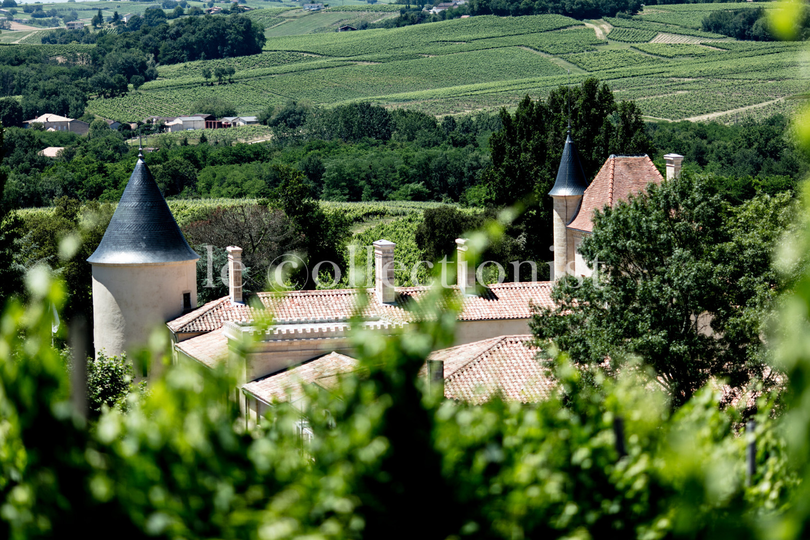 
                                                Location de vacances
                                                 Chateau Toulouse-Lautrec