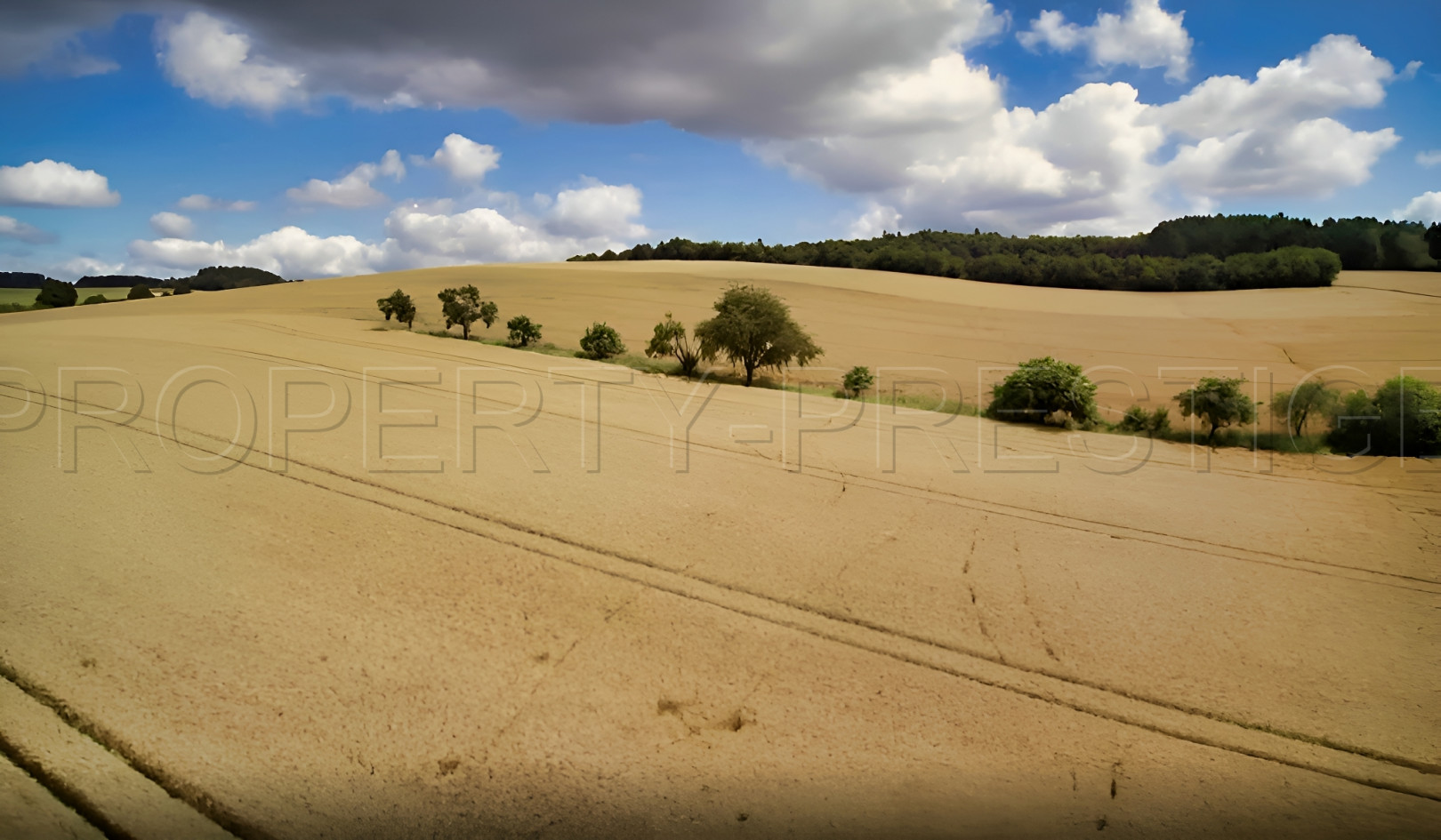 
                                                Vente
                                                 CHER PROPRIETE AGRICOLE 250 HA