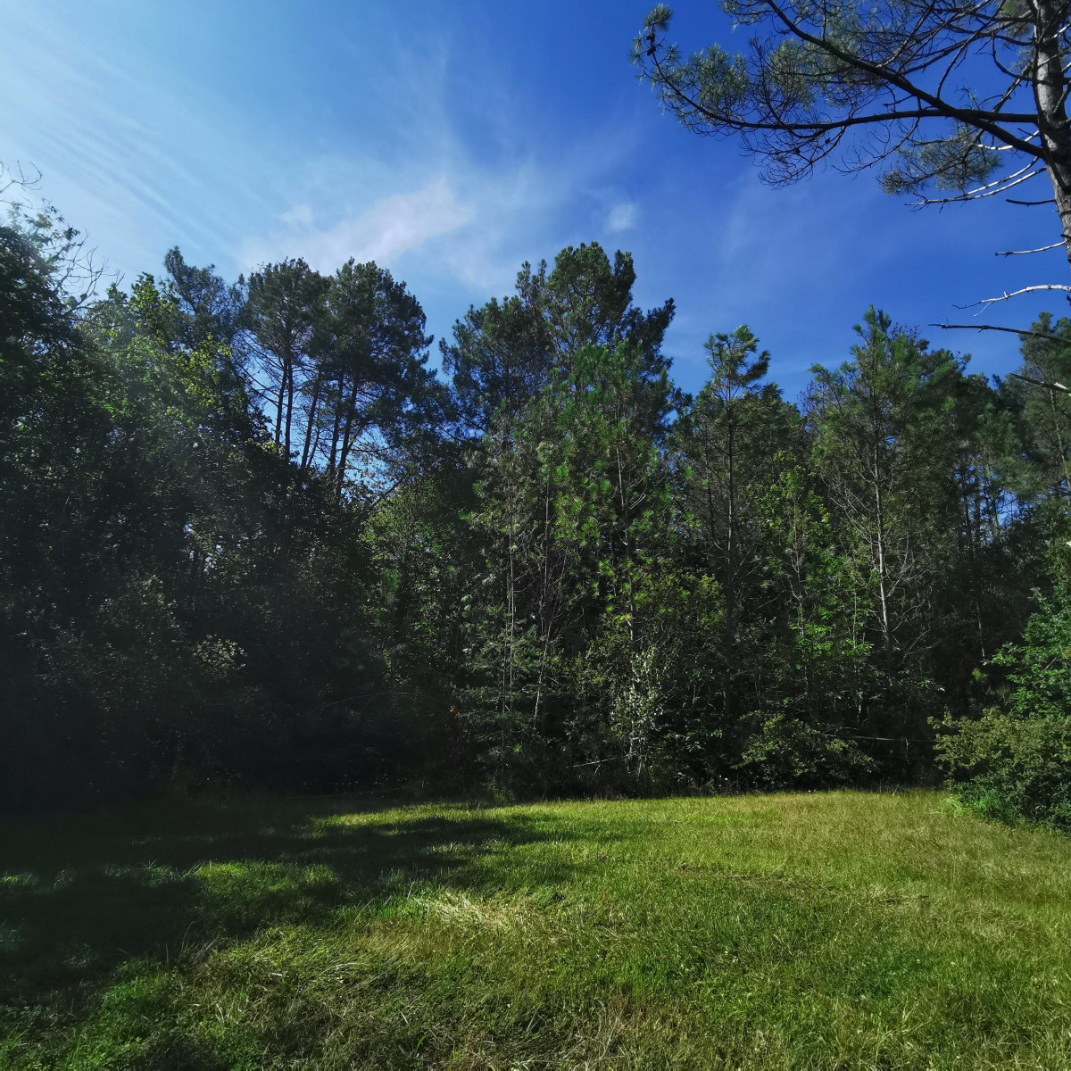 
                                                Vente
                                                 dans les bois, Maison 7 pièces