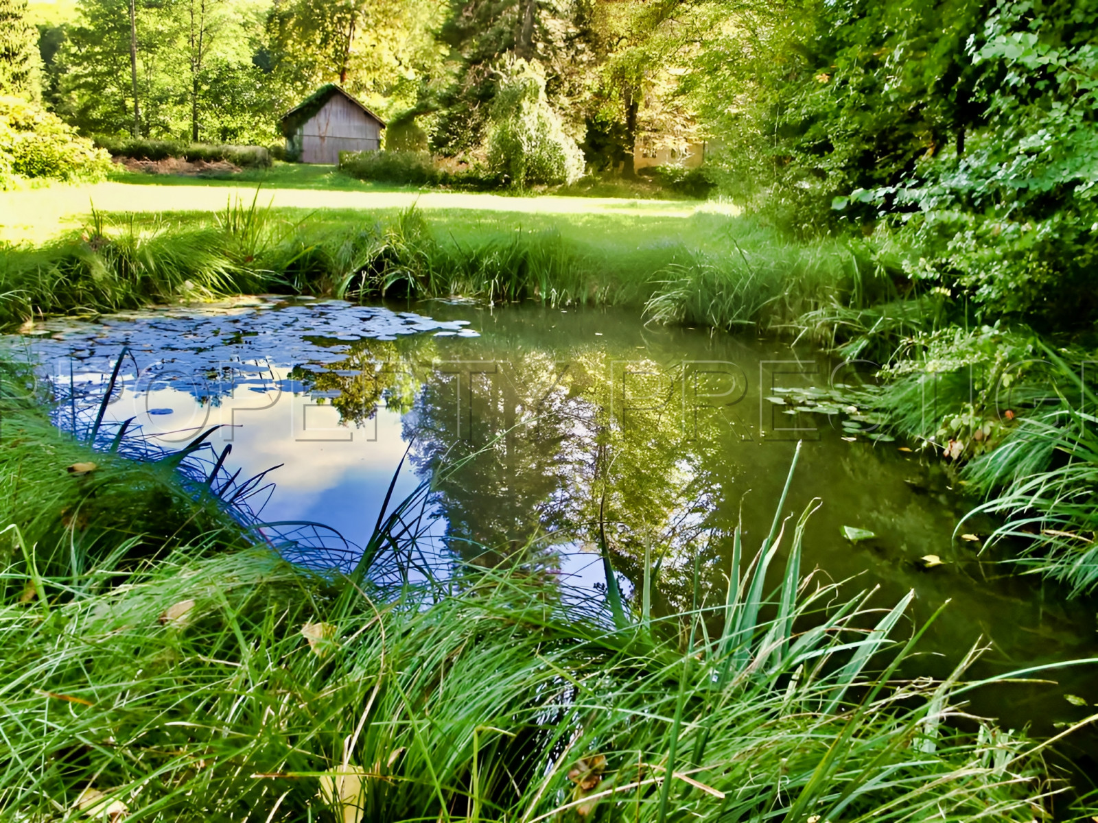 
                                                Vente
                                                 DORDOGNE LOGIS MOULIN A EAU 8 HA