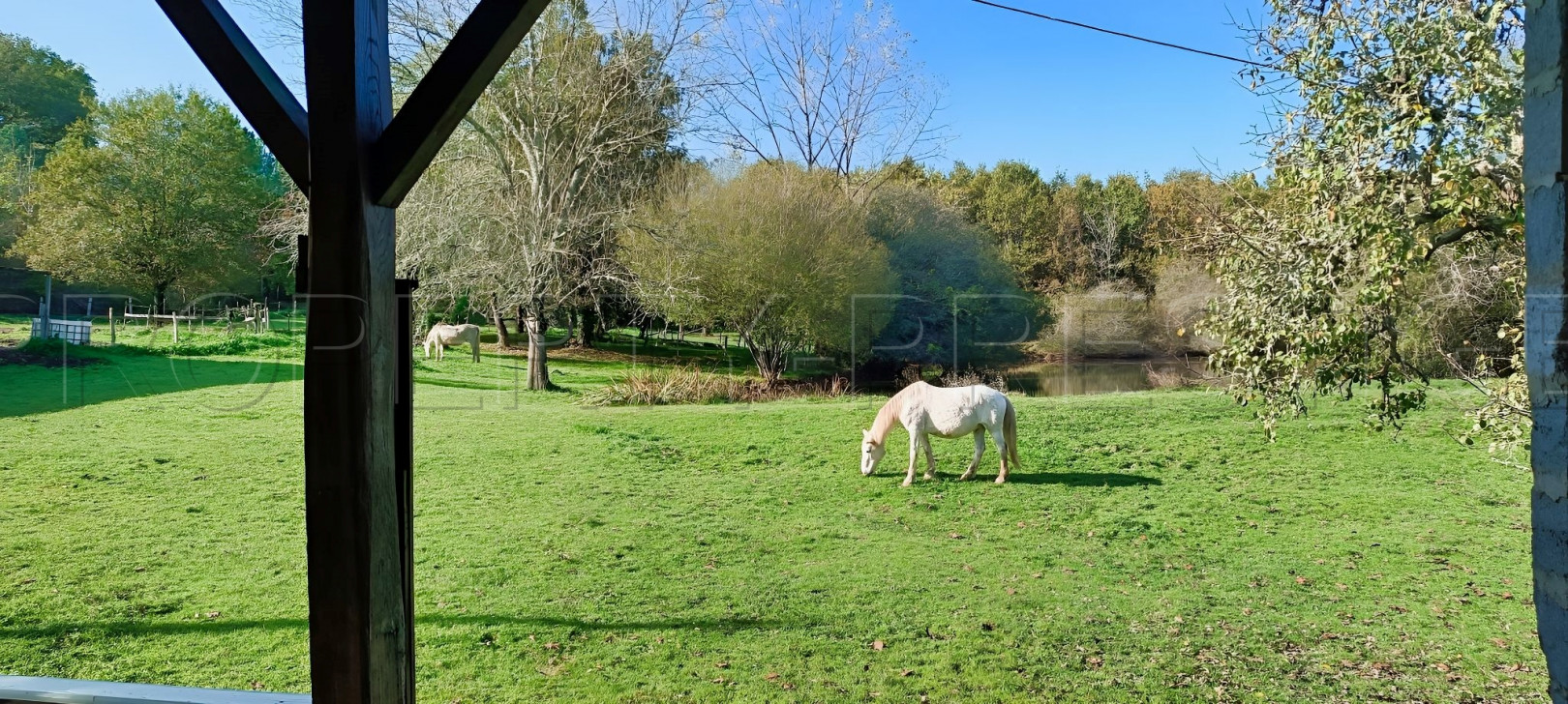 
                                                Vente
                                                 DORDOGNE PROPRIETE 6 HA ETANG PUITS