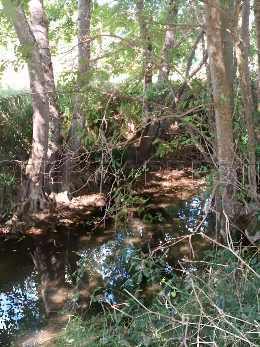 
                                                Vente
                                                 DORDOGNE PROPRIETE XIIème 32 HA RIVIERE