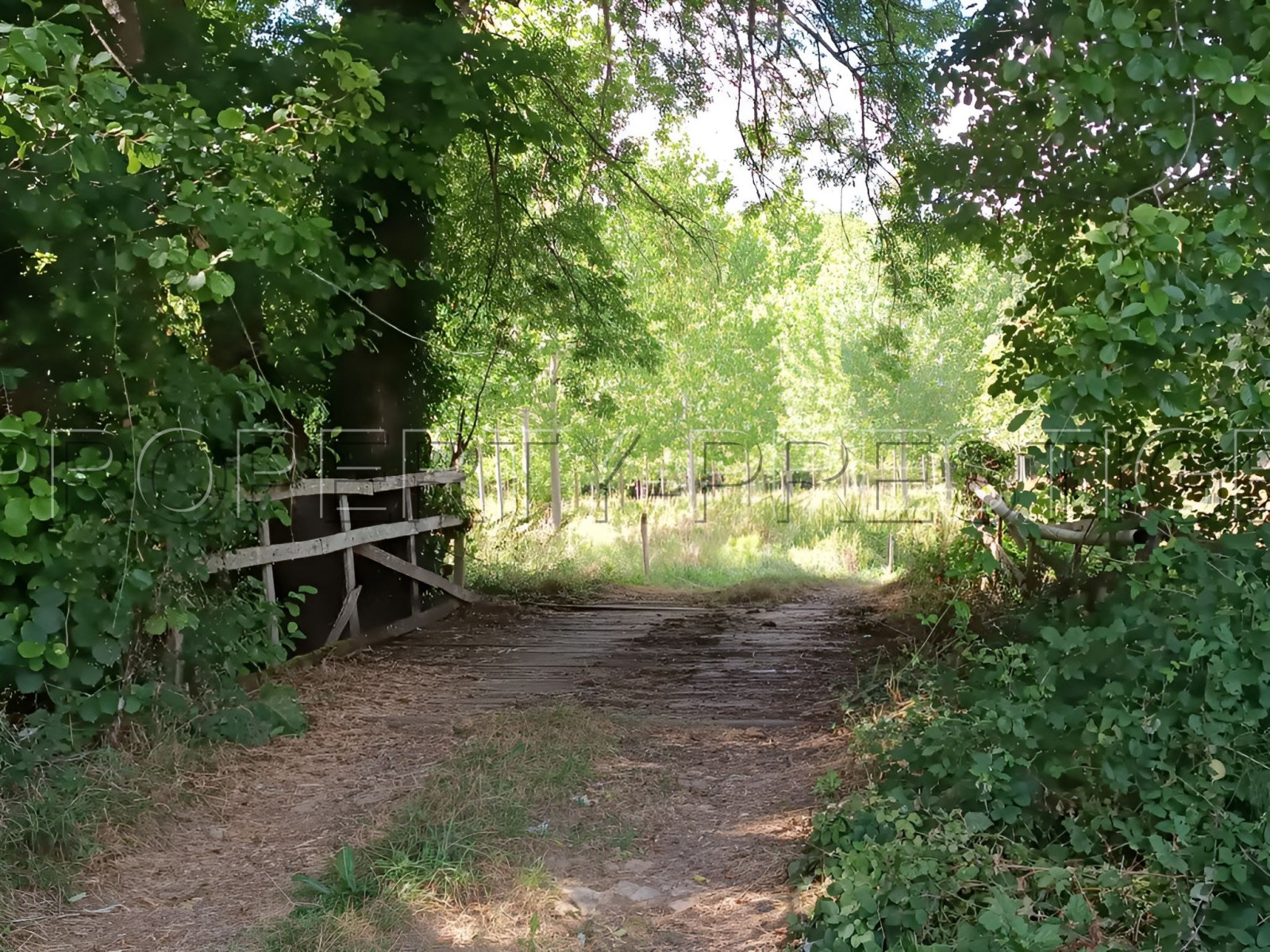 
                                                Vente
                                                 DORDOGNE PROPRIETE XIIème 32 HA RIVIERE