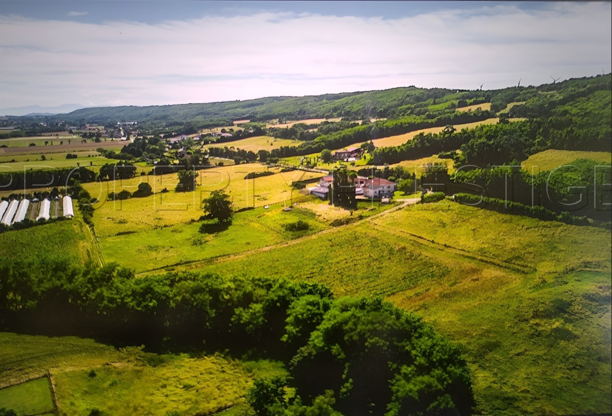 
                                                Vente
                                                 DROME PROPRIETE AGRICOLE 23 HA