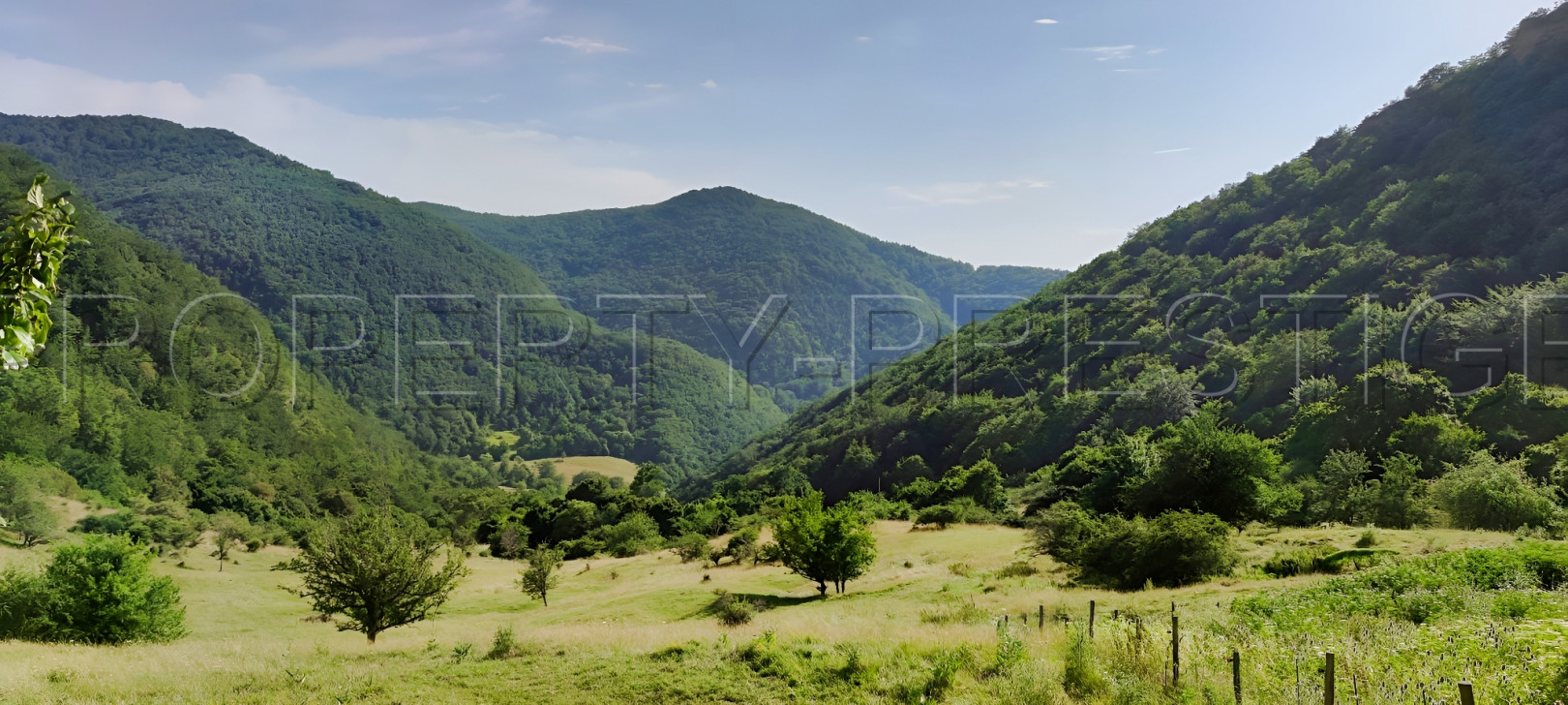 
                                                Vente
                                                 DROME PROVENCALE DOMAINE 28 HA PLEINE NATURE