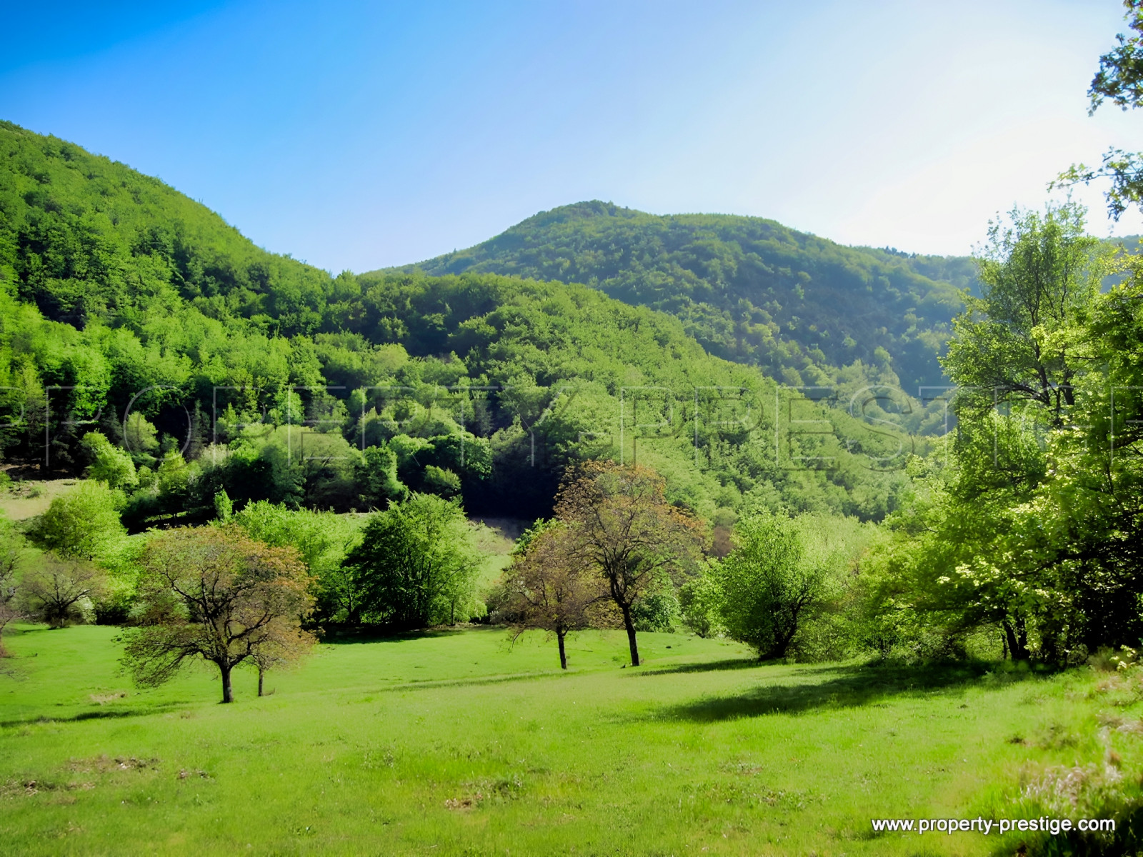 
                                                Vente
                                                 DROME PROVENCALE DOMAINE 28 HA PLEINE NATURE