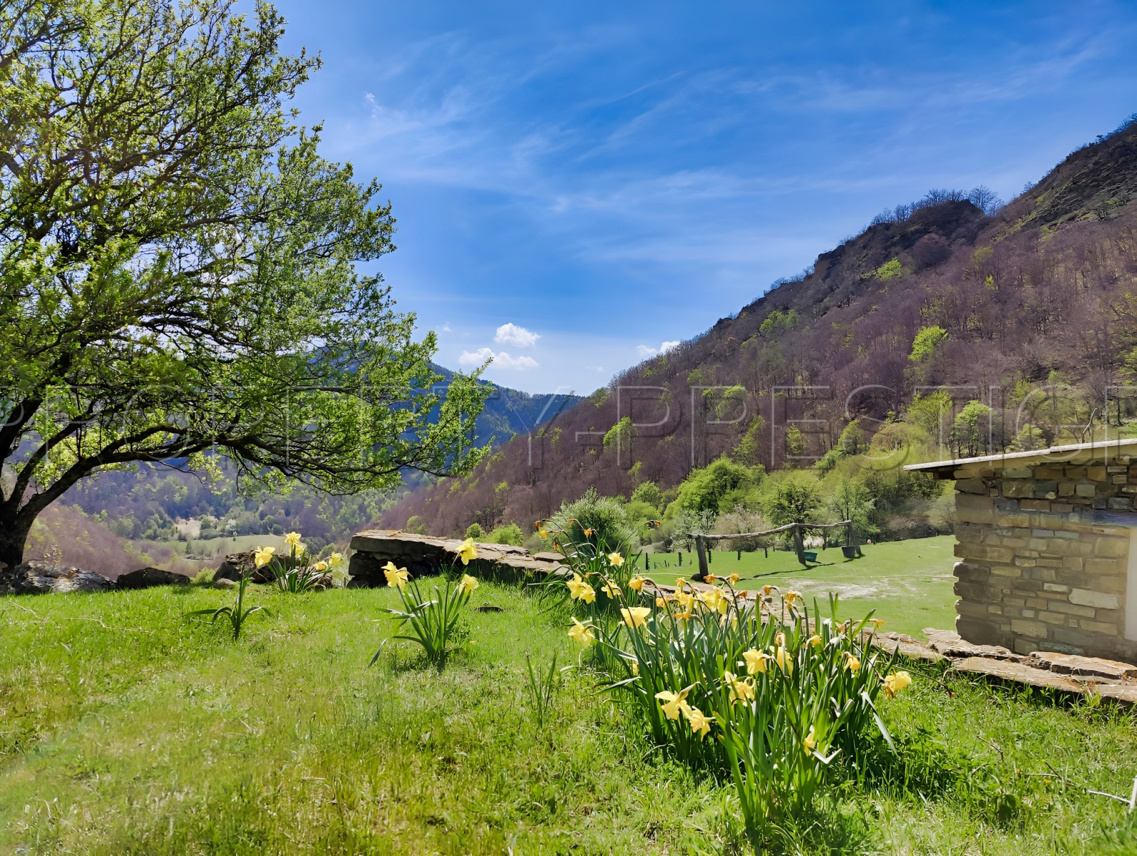 
                                                Vente
                                                 DROME PROVENCALE DOMAINE 28 HA PLEINE NATURE