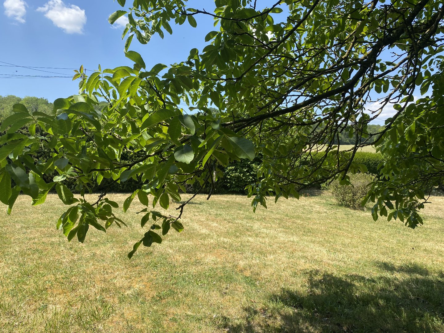 
                                                Vente
                                                 Environnement excpetionnel  !