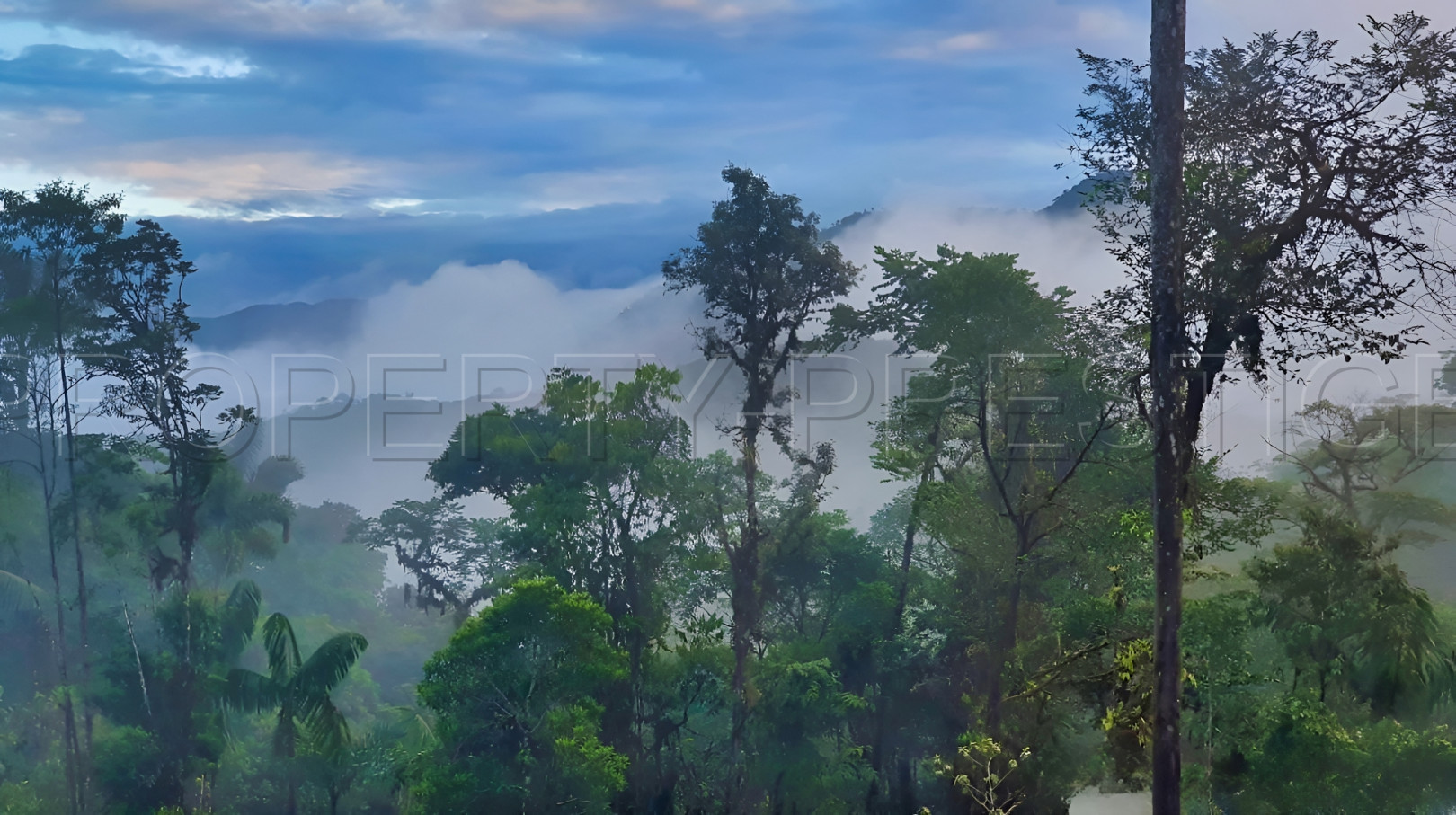 
                                                Vente
                                                 EQUATEUR Propriété 400 m² 50 HA AMAZONIE