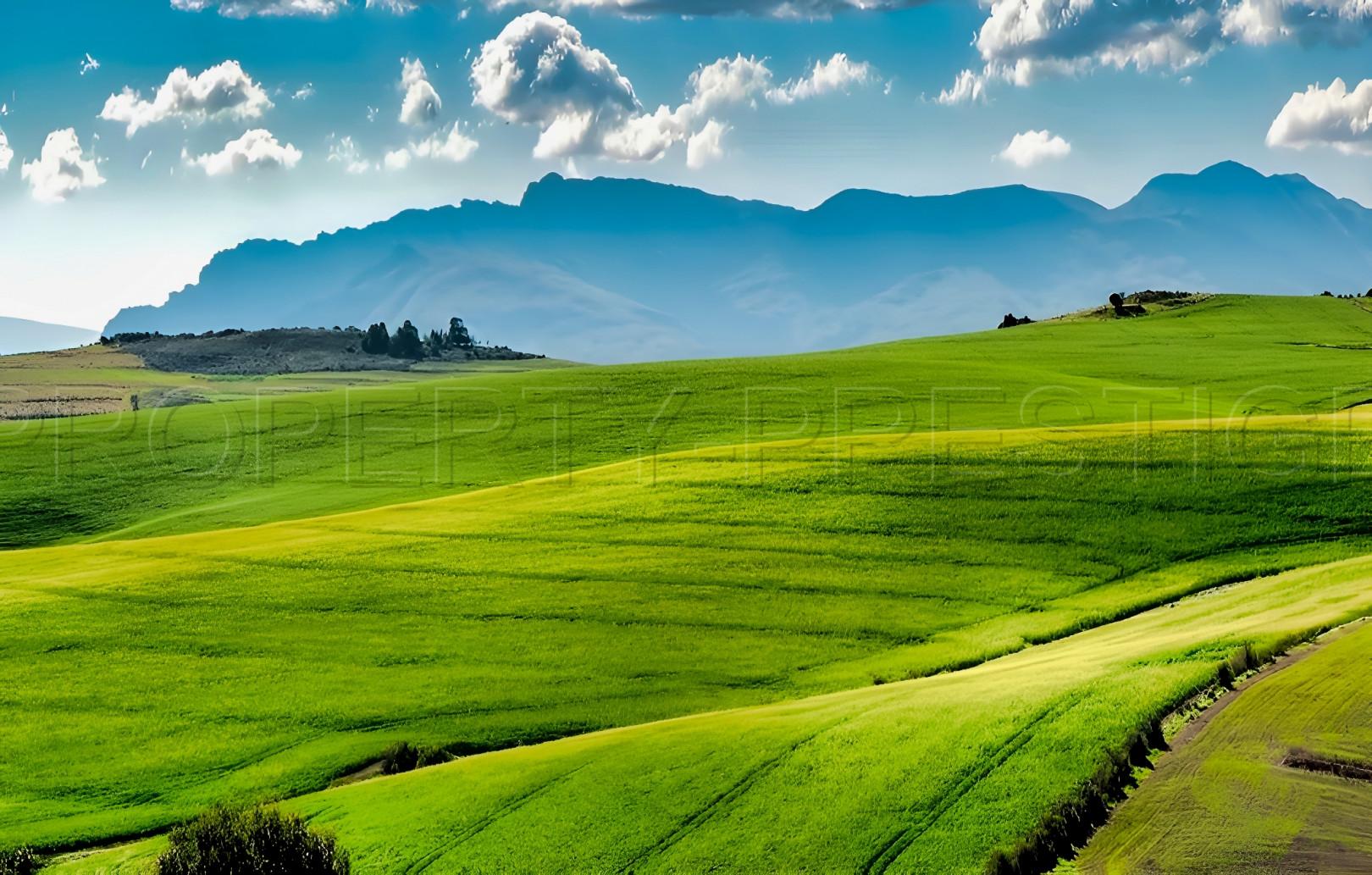 
                                                Vente
                                                 EXPLOITATION AGRICOLE 245 HA