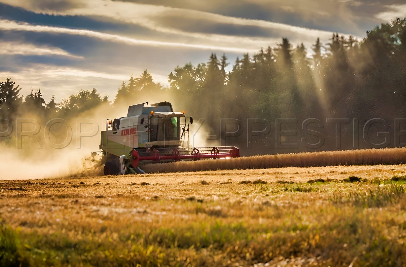 
                                                Vente
                                                 EXPLOITATION AGRICOLE 245 HA