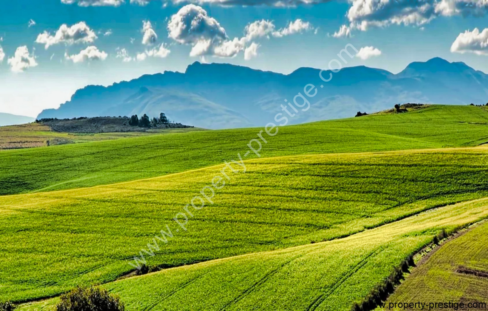 
                                                Vente
                                                 EXPLOITATION AGRICOLE TRES GRANDES SURFACES 500 HA