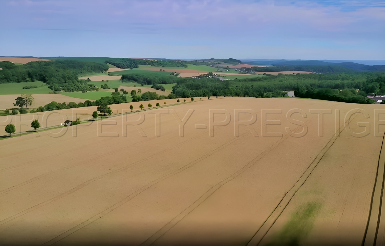 
                                                Vente
                                                 FRANCE CENTRE PROPRIETE AGRICOLE 370 HA