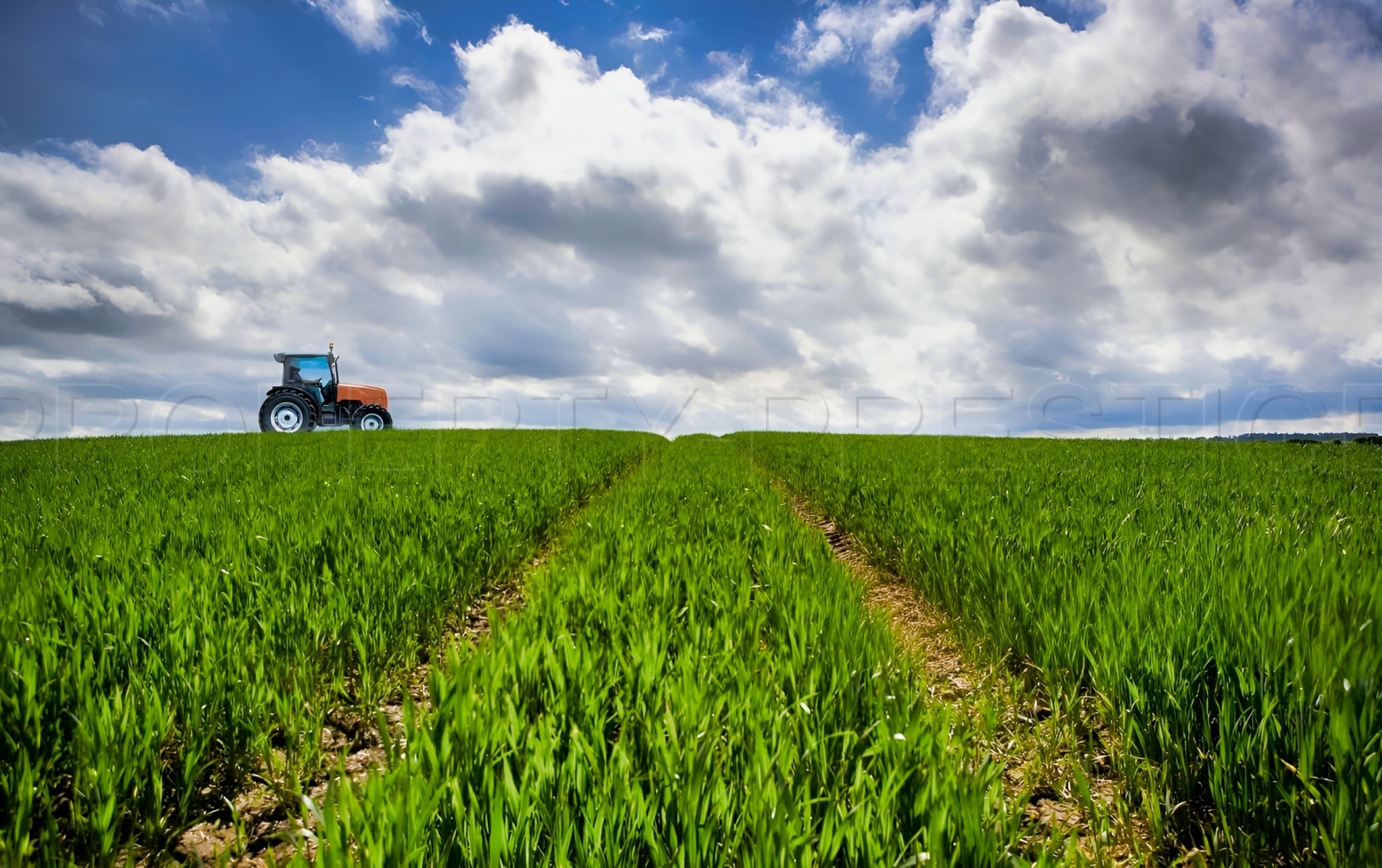 
                                                Vente
                                                 GERS EXPLOITATION AGRICOLE 270 HA IRRIGUES LACS