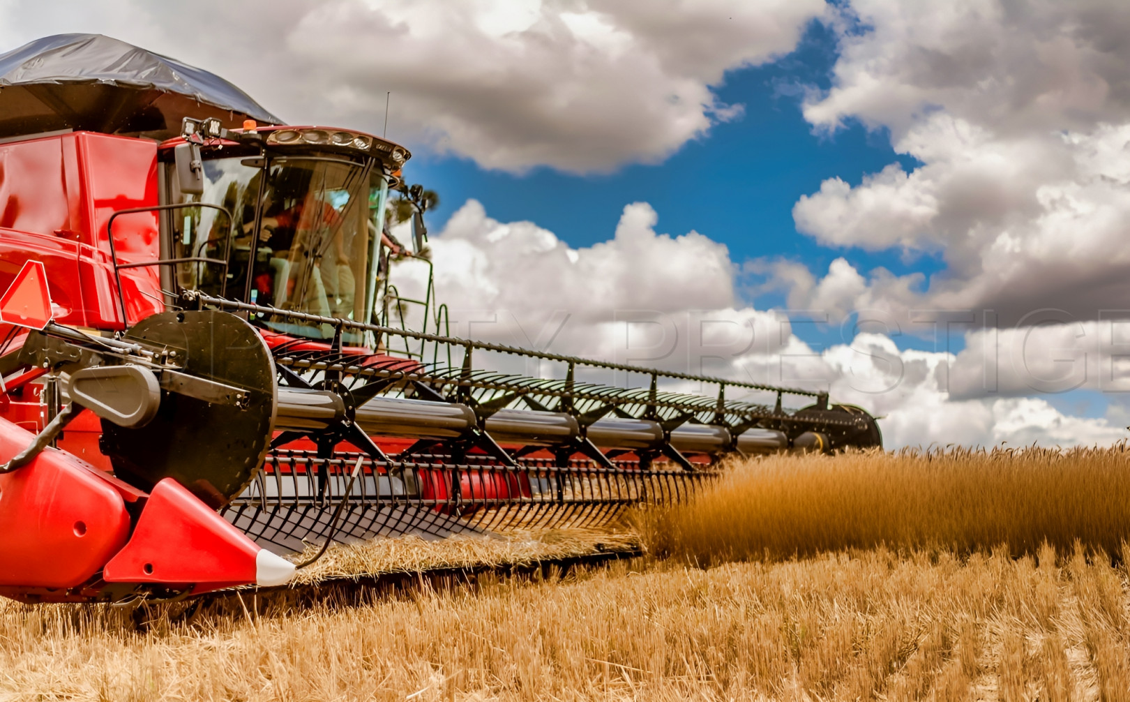 
                                                Vente
                                                 GERS EXPLOITATION AGRICOLE 270 HA IRRIGUES LACS