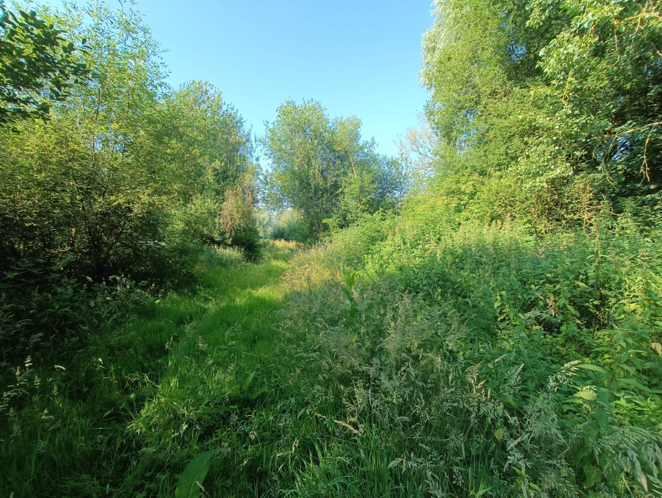 
                                                Vente
                                                 Grand terrain à bâtir Amiens Saint Maurice