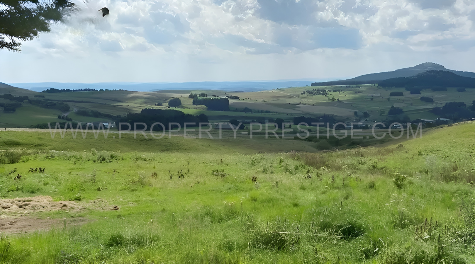 
                                                Vente
                                                 HAUTE LOIRE PROPRIETE DE CARACTERE 1000 M² 6 HA PLEINE NATURE