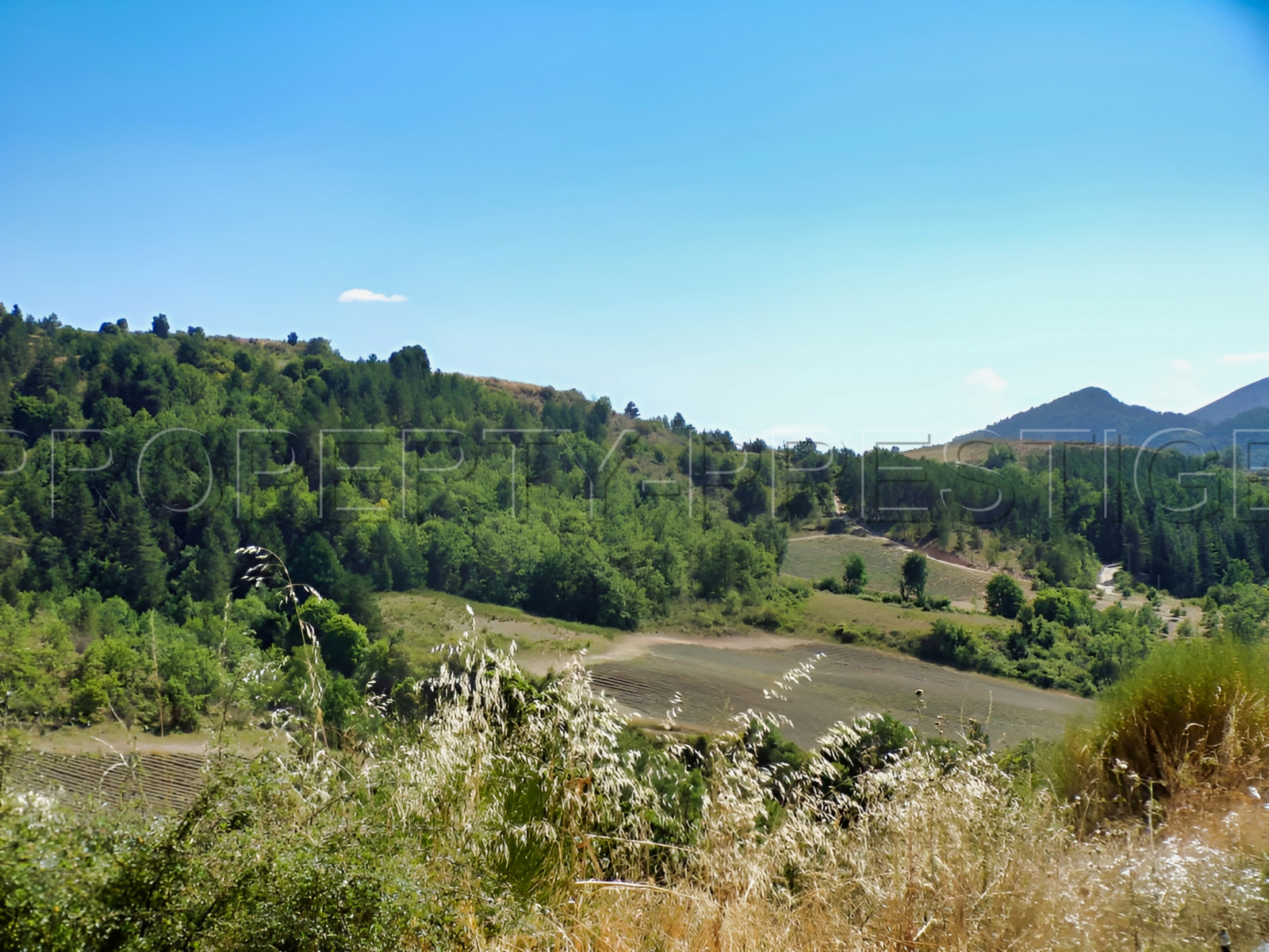 
                                                Vente
                                                 HAUTE PROVENCE BERGERIE 8 HA Chambres d'hôtes