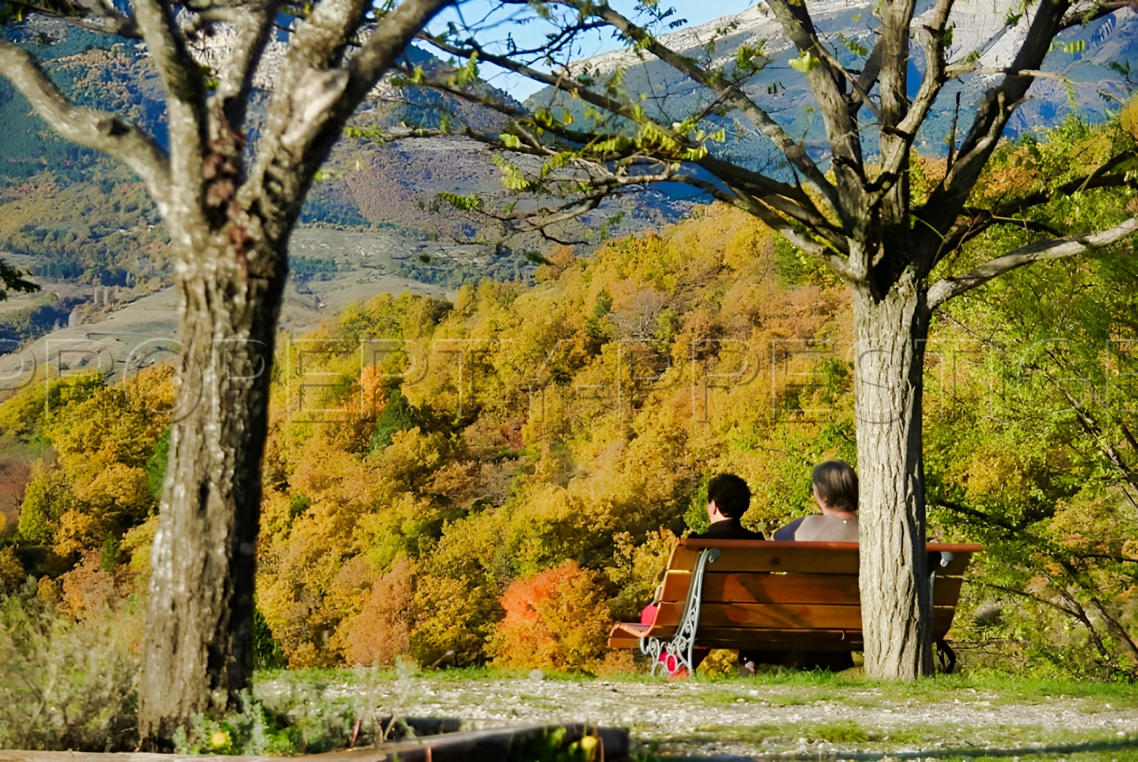 
                                                Vente
                                                 HAUTE PROVENCE BERGERIE 8 HA Chambres d'hôtes