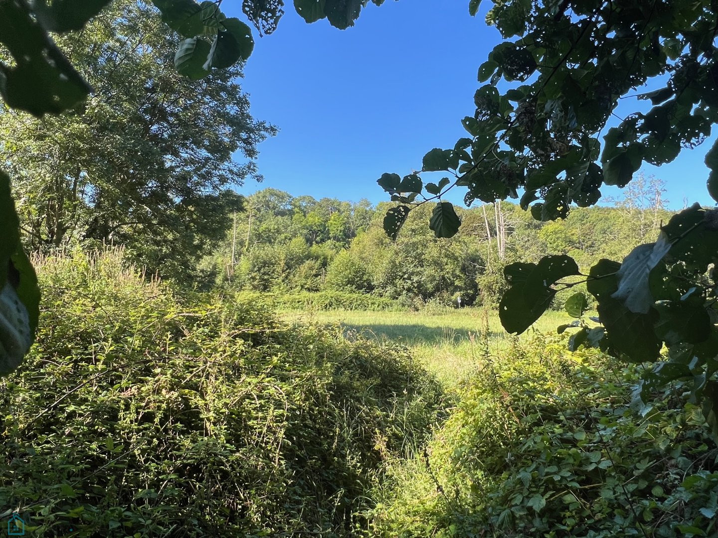 
                                                Vente
                                                 Impensable - Un ancien moulin et ses îles en coeur de ville