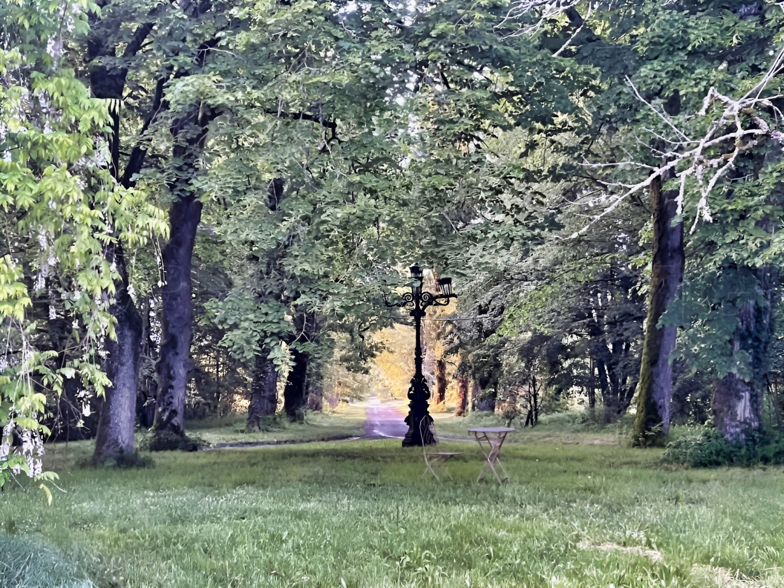 
                                                Vente
                                                 LANDES CHATEAU XIXème 12 HA